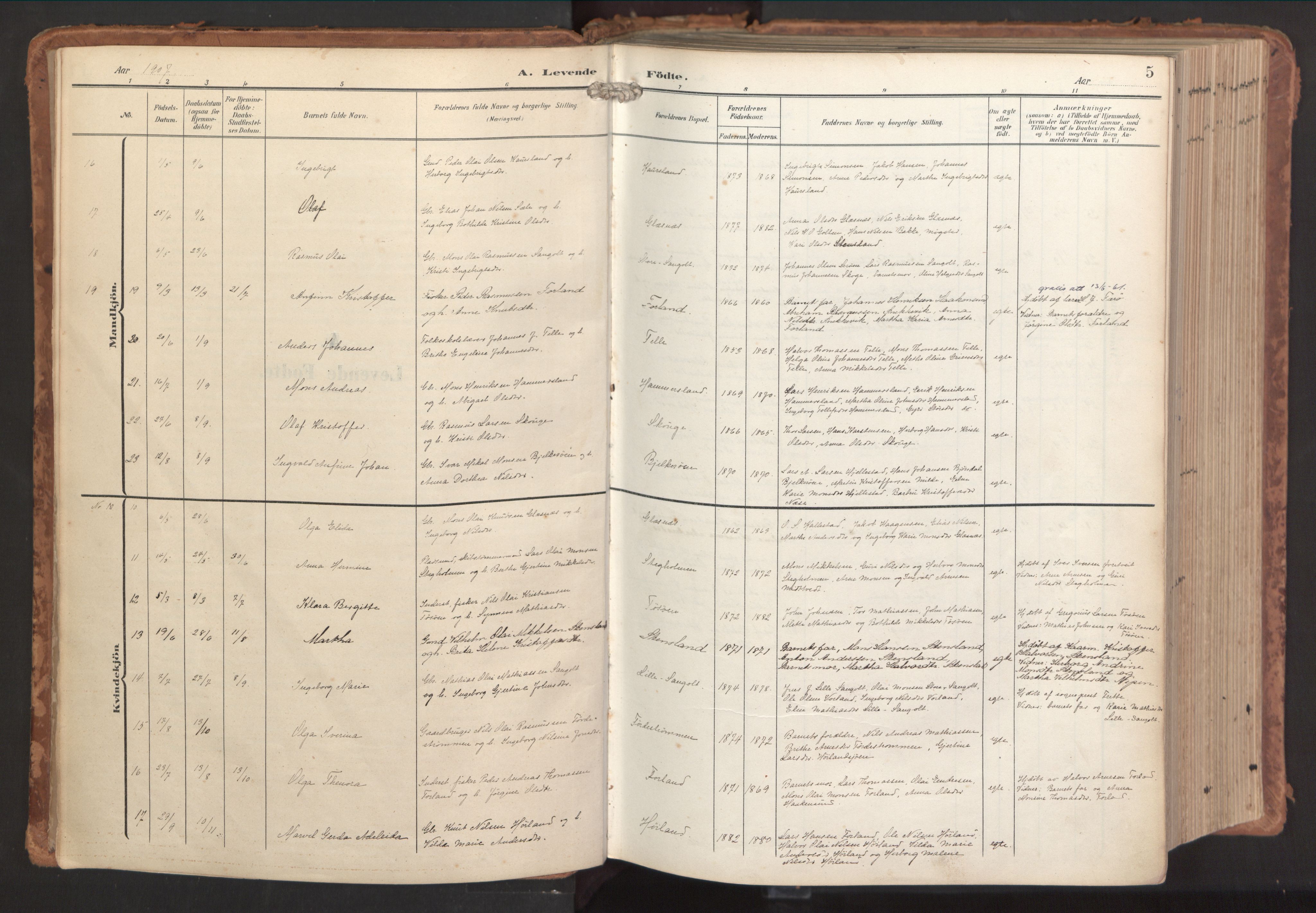 Sund sokneprestembete, SAB/A-99930: Parish register (official) no. B 2, 1907-1926, p. 5