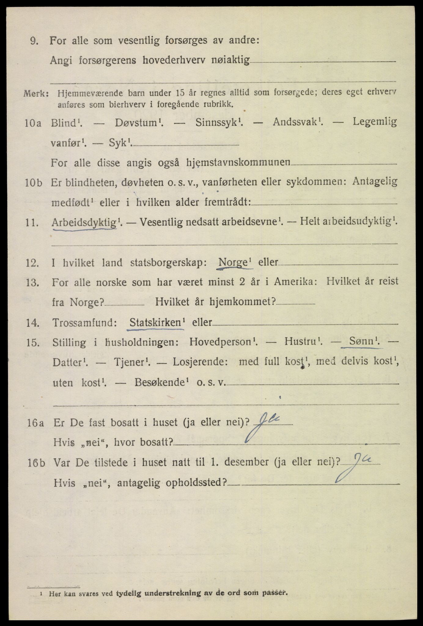 SAH, 1920 census for Lesja, 1920, p. 6125