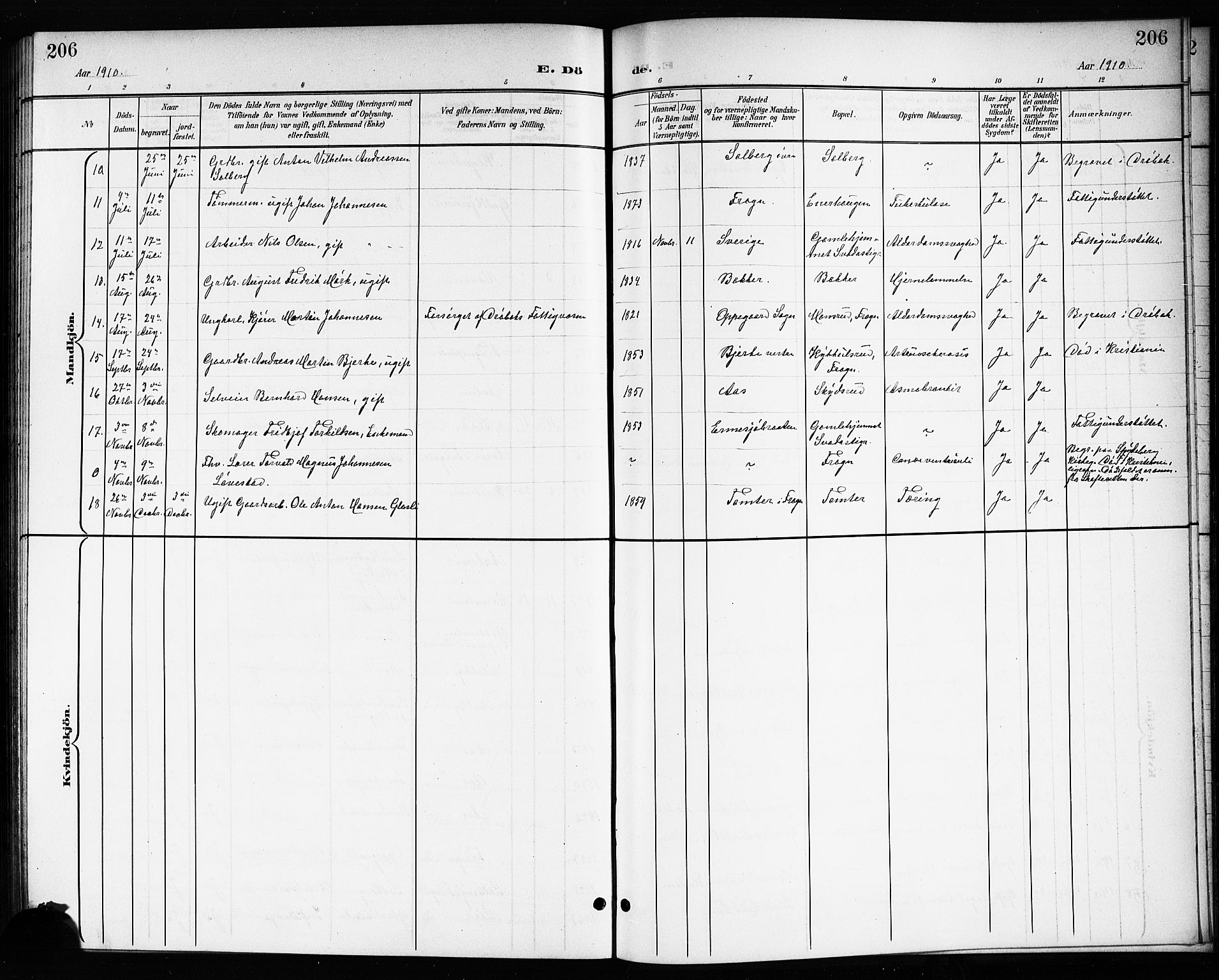 Drøbak prestekontor Kirkebøker, AV/SAO-A-10142a/G/Gb/L0001: Parish register (copy) no. II 1, 1901-1919, p. 206