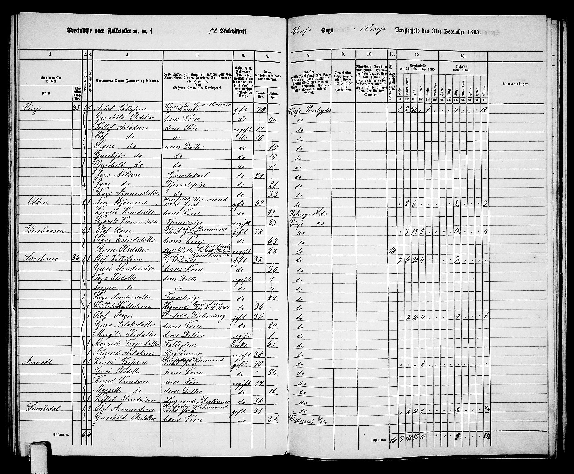 RA, 1865 census for Vinje, 1865, p. 52