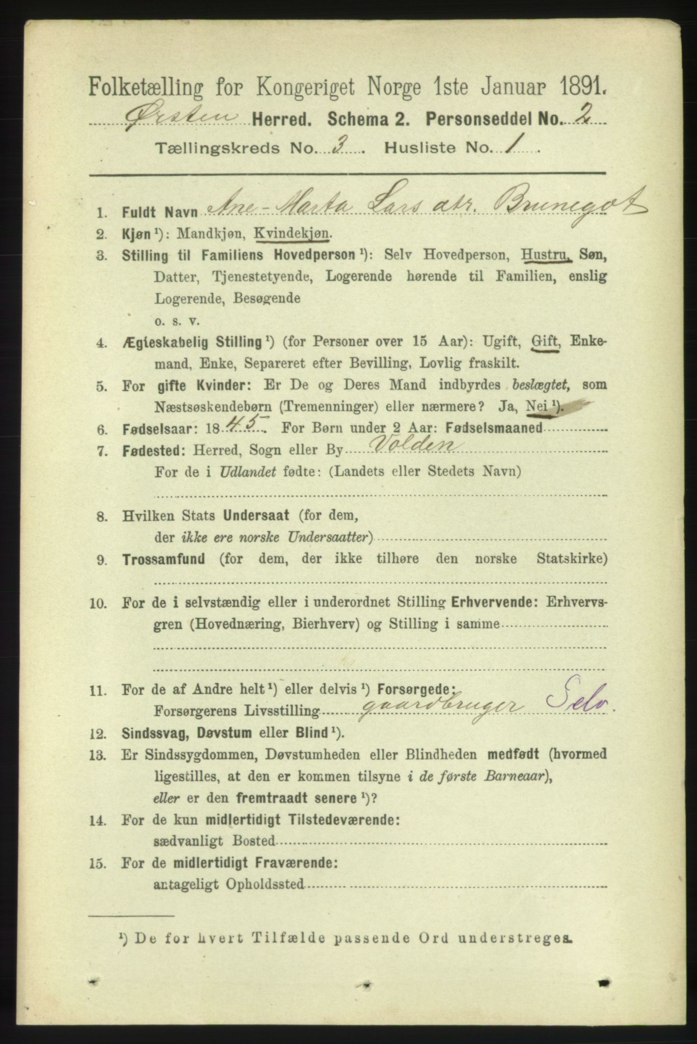 RA, 1891 census for 1520 Ørsta, 1891, p. 1213