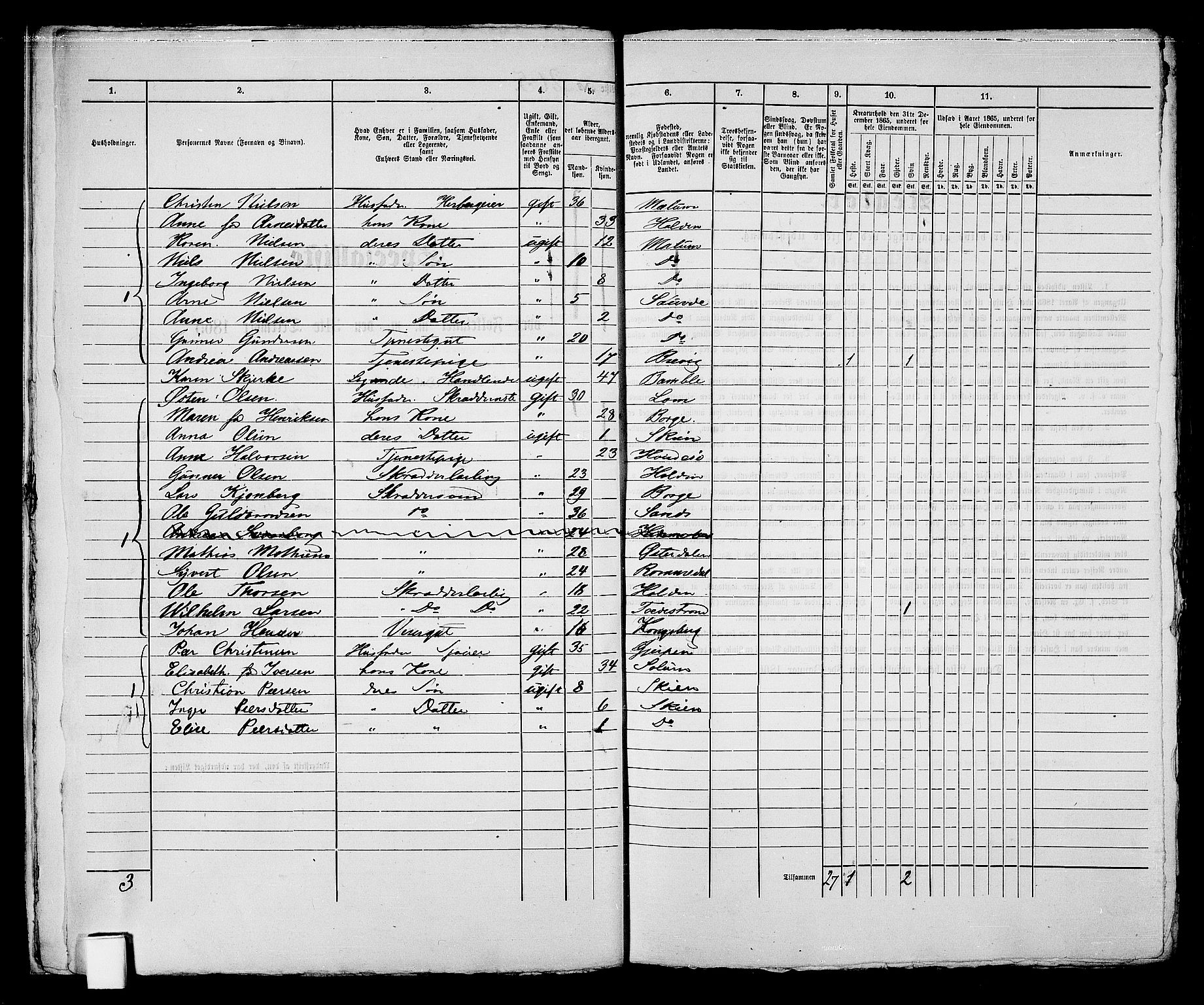 RA, 1865 census for Skien, 1865, p. 425