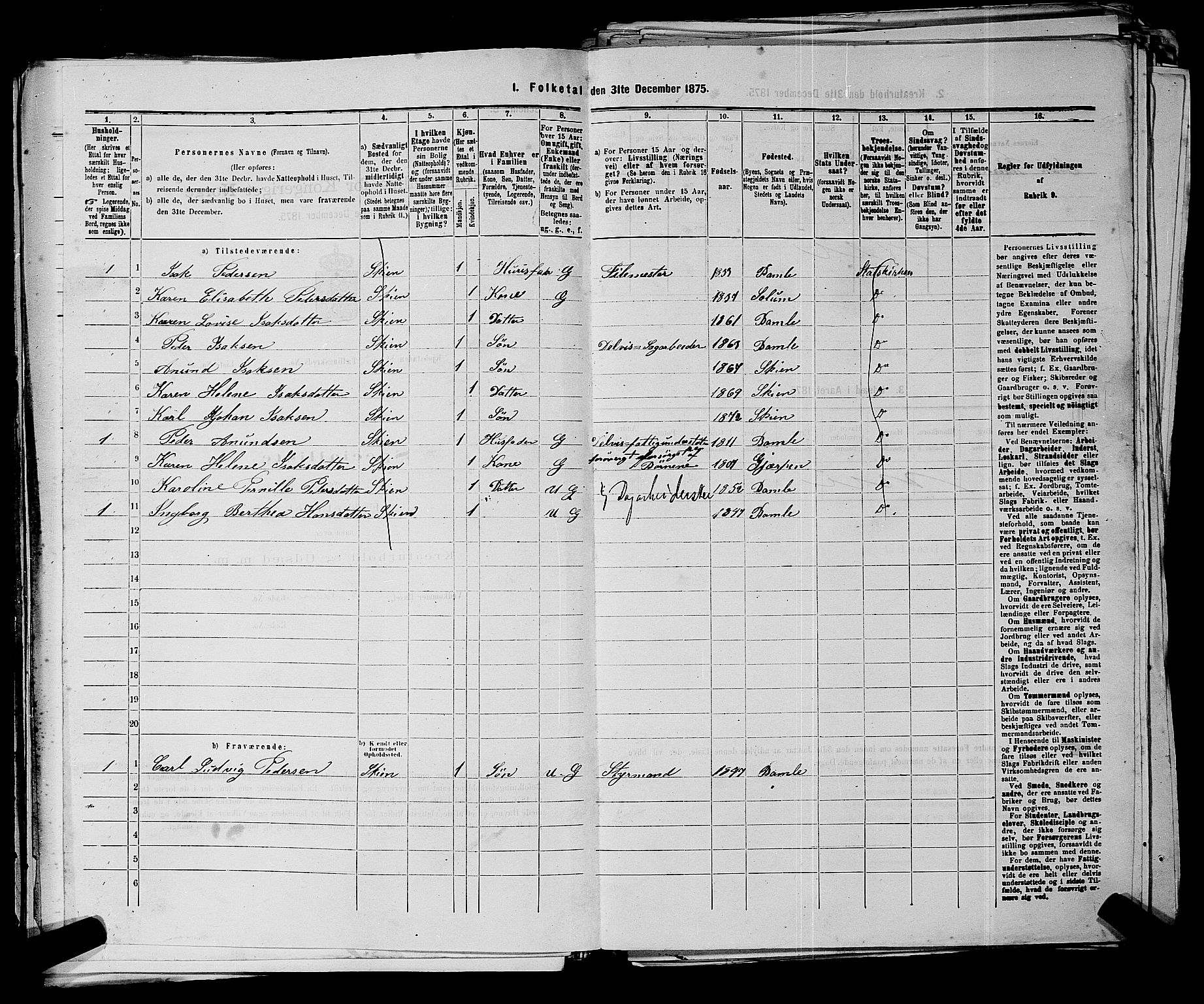 SAKO, 1875 census for 0806P Skien, 1875, p. 1078