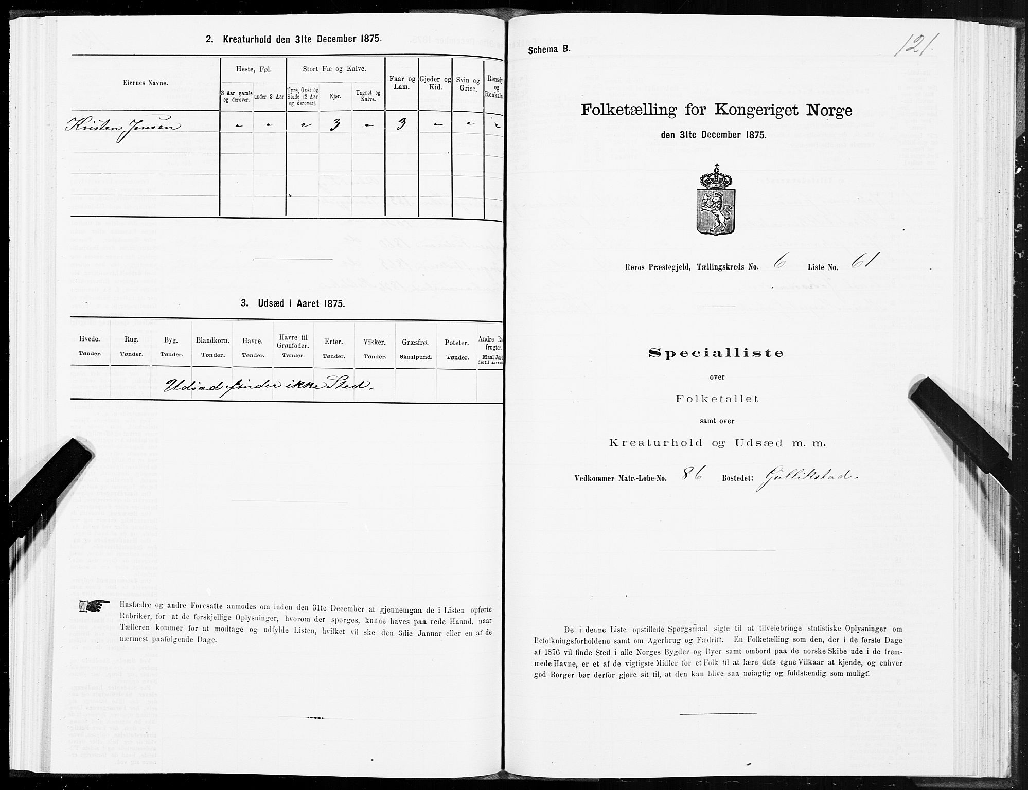 SAT, 1875 census for 1640P Røros, 1875, p. 4121