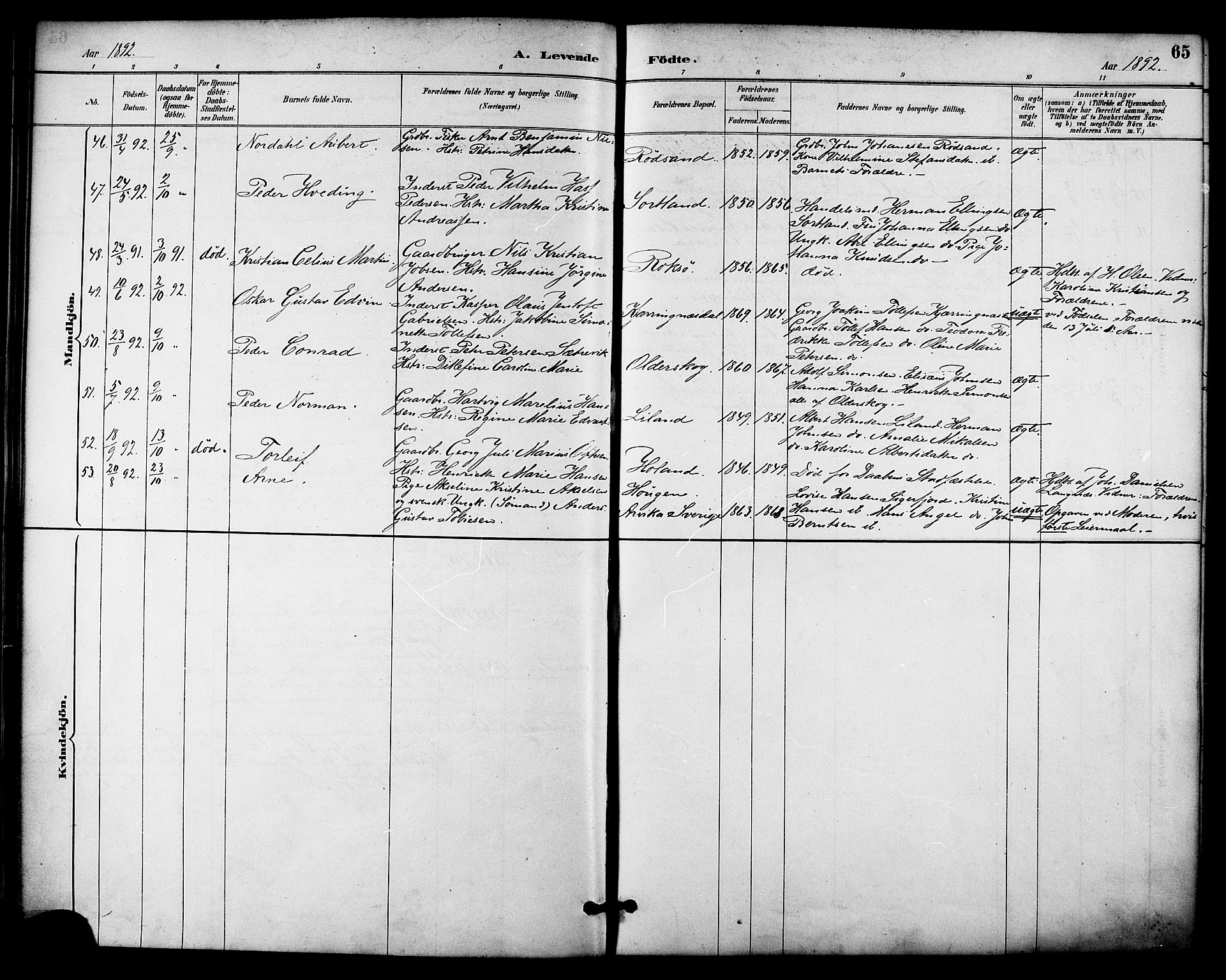 Ministerialprotokoller, klokkerbøker og fødselsregistre - Nordland, AV/SAT-A-1459/895/L1371: Parish register (official) no. 895A06, 1885-1894, p. 65