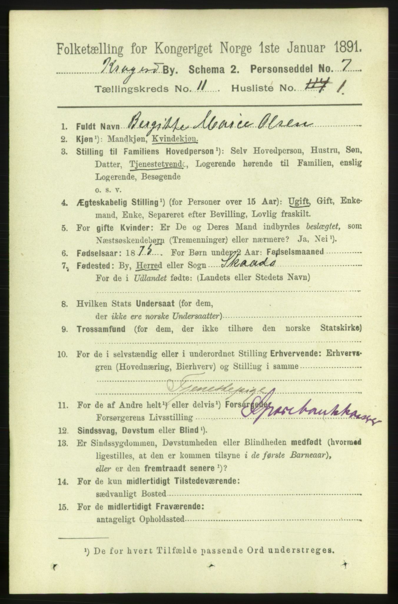 RA, 1891 census for 0801 Kragerø, 1891, p. 3857