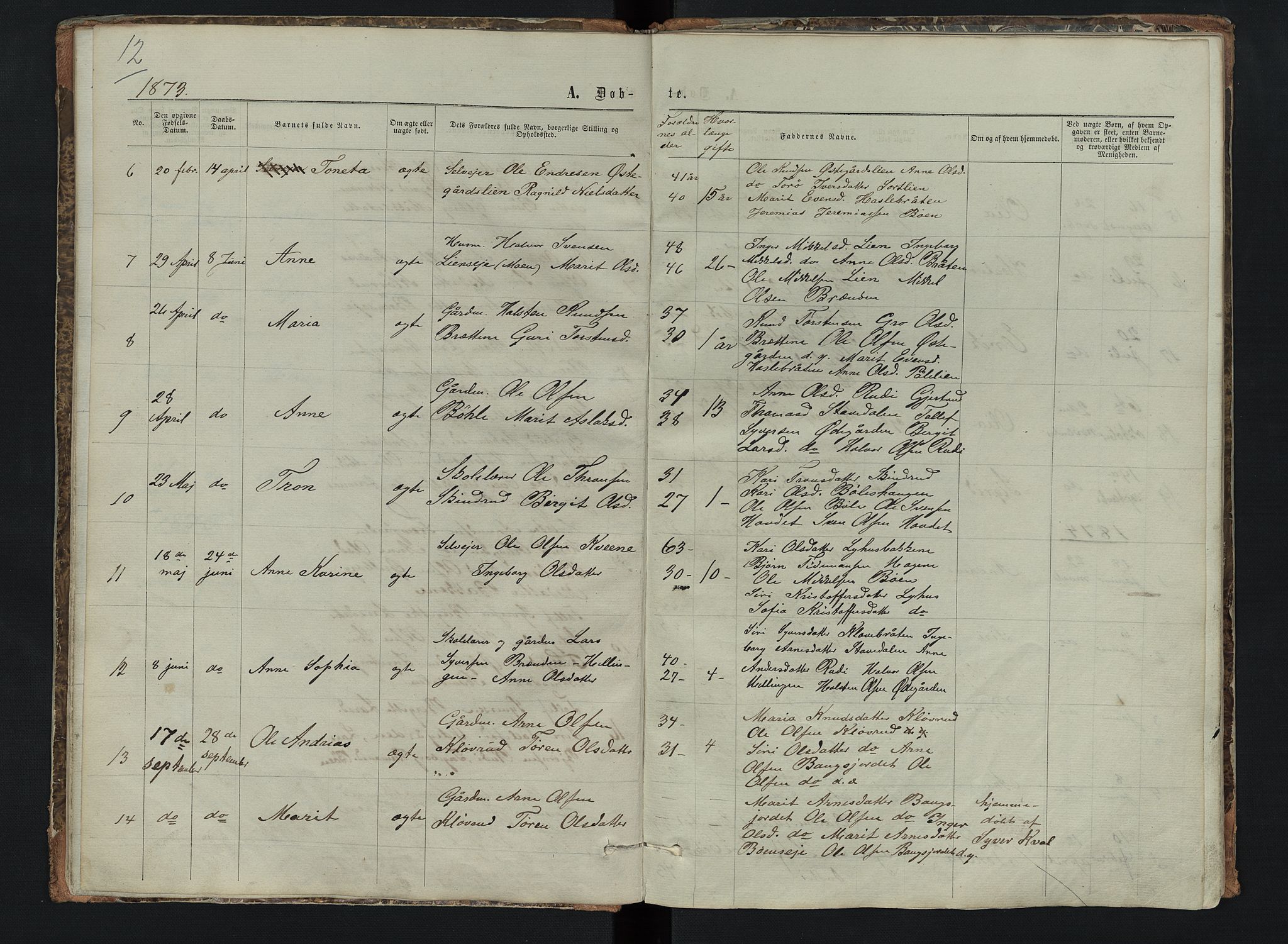 Sør-Aurdal prestekontor, SAH/PREST-128/H/Ha/Hab/L0006: Parish register (copy) no. 6, 1866-1893, p. 12