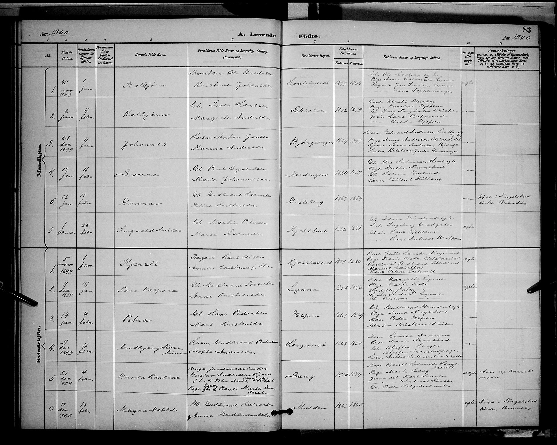 Gran prestekontor, SAH/PREST-112/H/Ha/Hab/L0005: Parish register (copy) no. 5, 1892-1900, p. 83