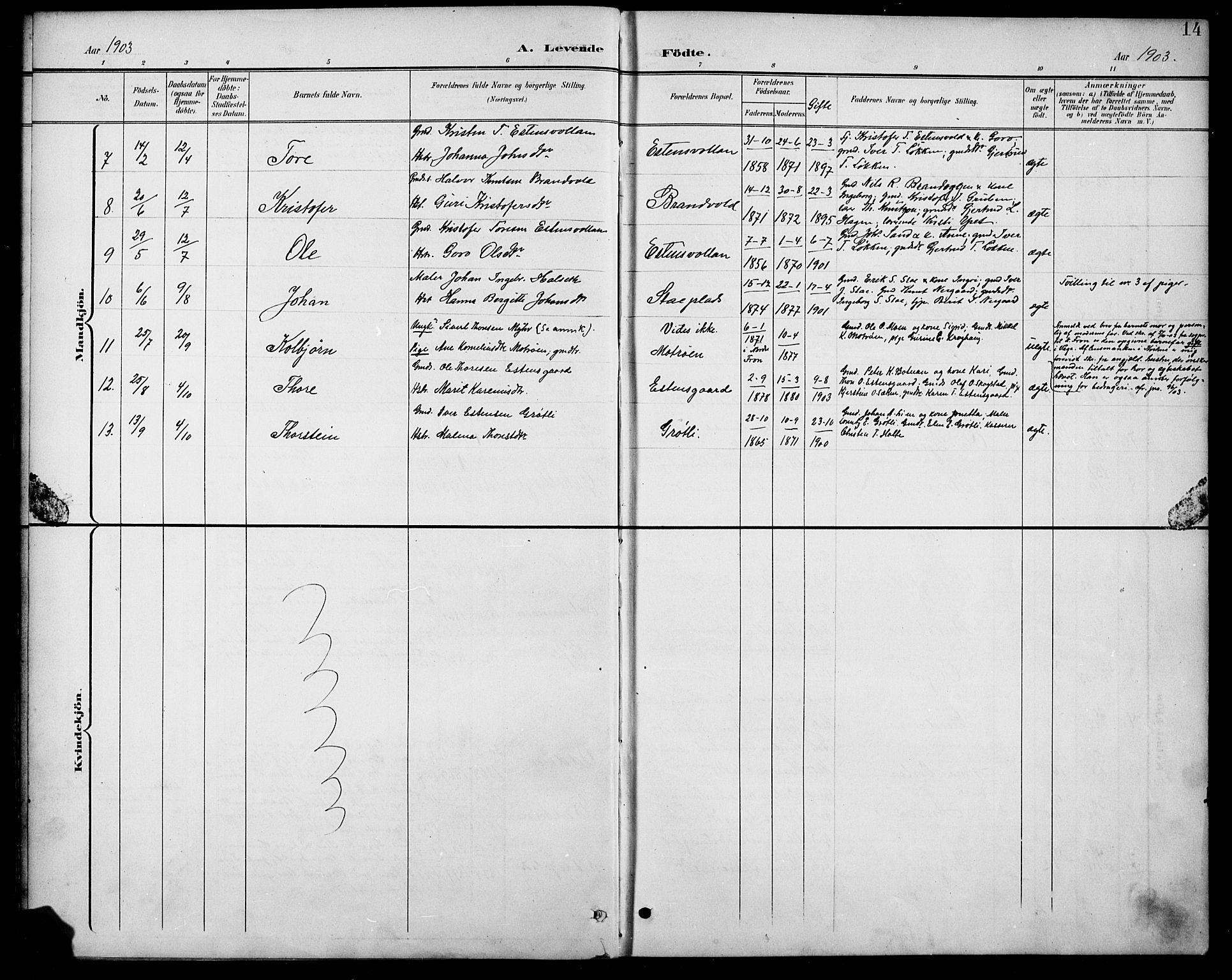 Kvikne prestekontor, AV/SAH-PREST-064/H/Ha/Hab/L0003: Parish register (copy) no. 3, 1896-1918, p. 14