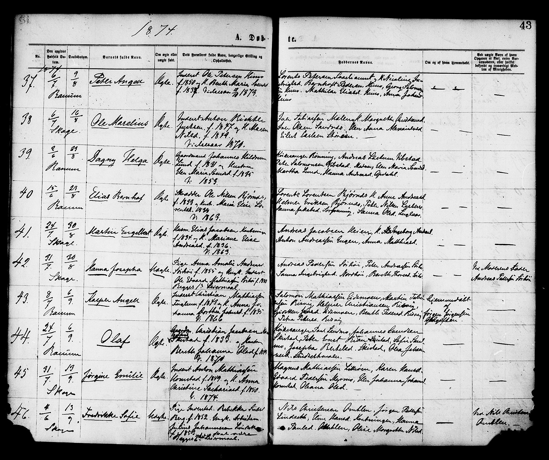 Ministerialprotokoller, klokkerbøker og fødselsregistre - Nord-Trøndelag, AV/SAT-A-1458/764/L0554: Parish register (official) no. 764A09, 1867-1880, p. 43