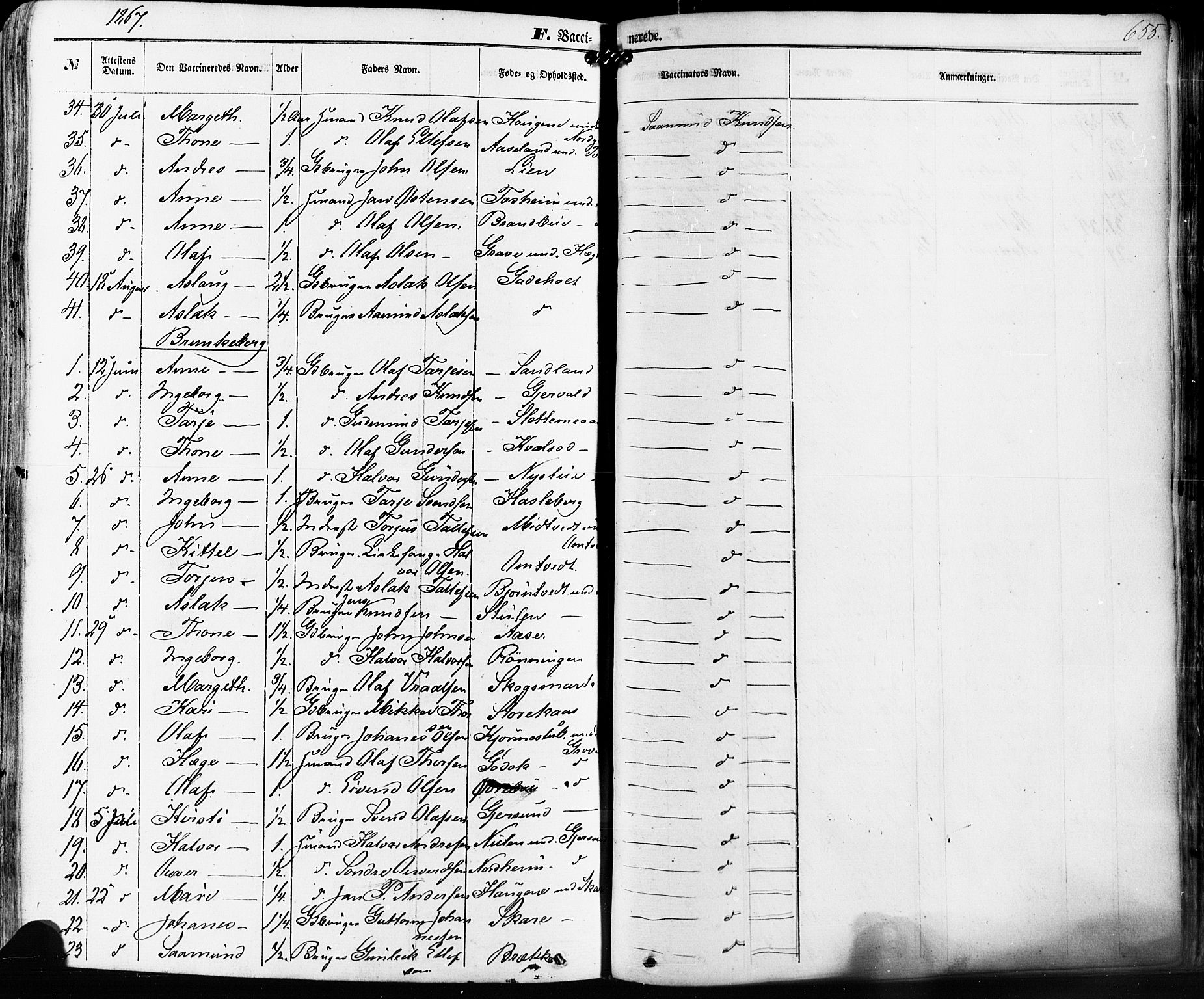 Kviteseid kirkebøker, AV/SAKO-A-276/F/Fa/L0007: Parish register (official) no. I 7, 1859-1881, p. 655