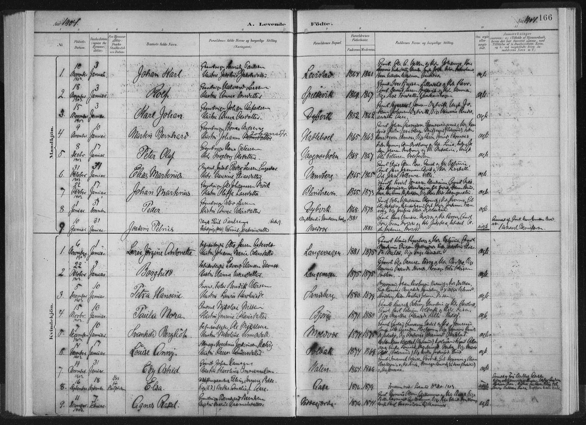 Ministerialprotokoller, klokkerbøker og fødselsregistre - Møre og Romsdal, AV/SAT-A-1454/528/L0405: Parish register (official) no. 528A14, 1891-1906, p. 166