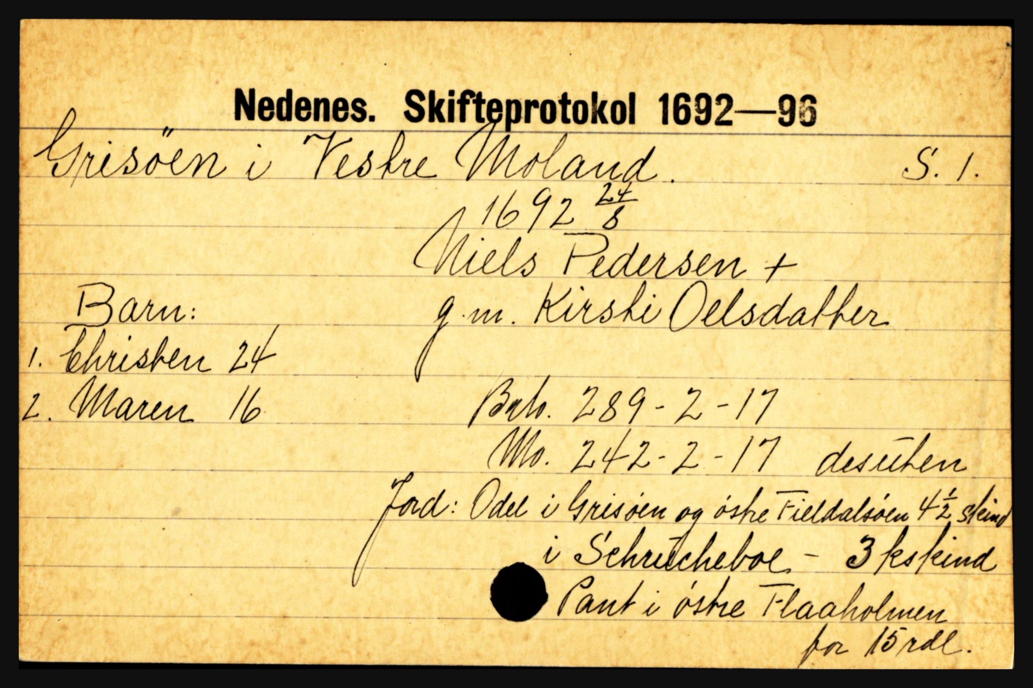 Nedenes sorenskriveri før 1824, SAK/1221-0007/H, p. 10049