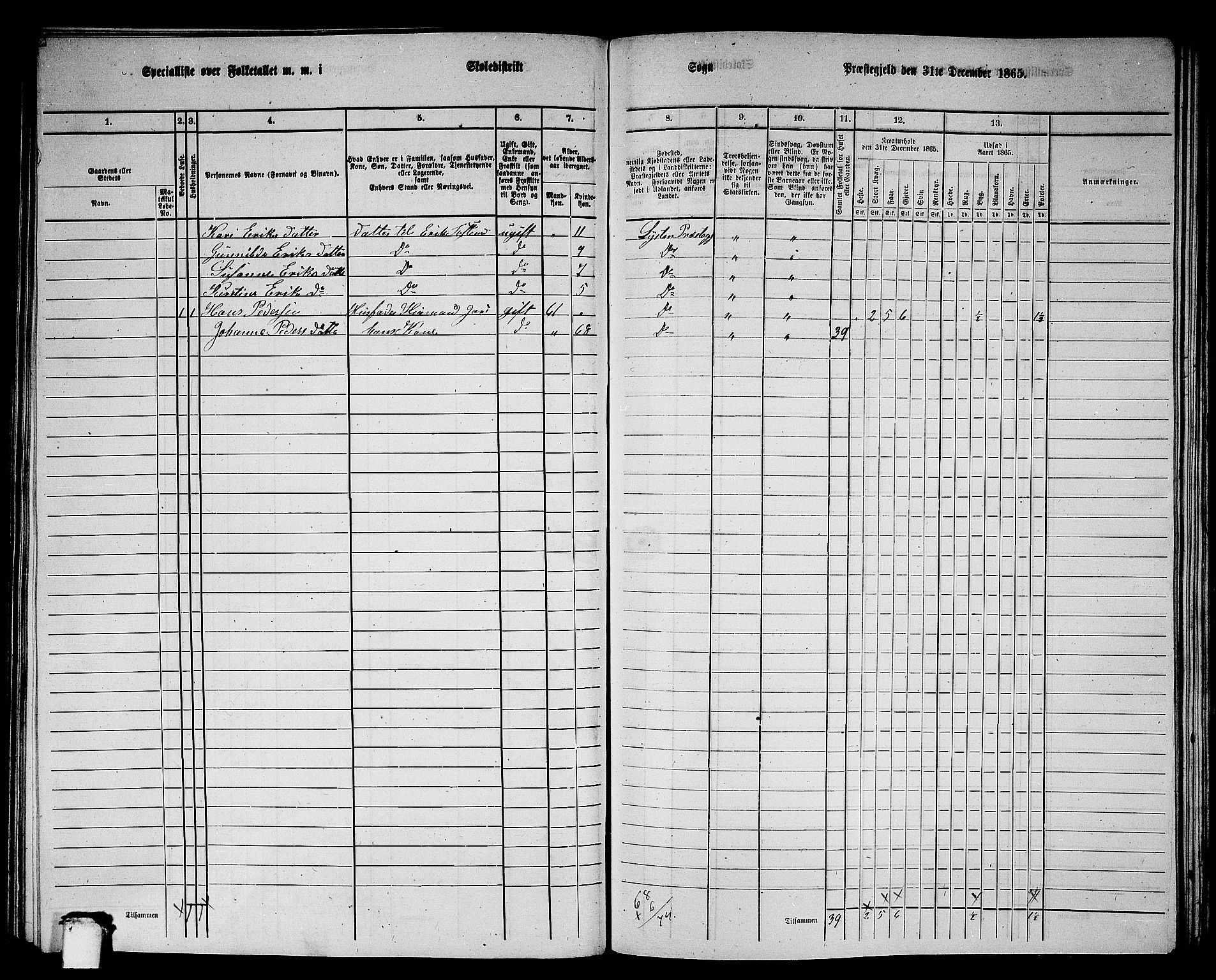 RA, 1865 census for Luster, 1865, p. 111