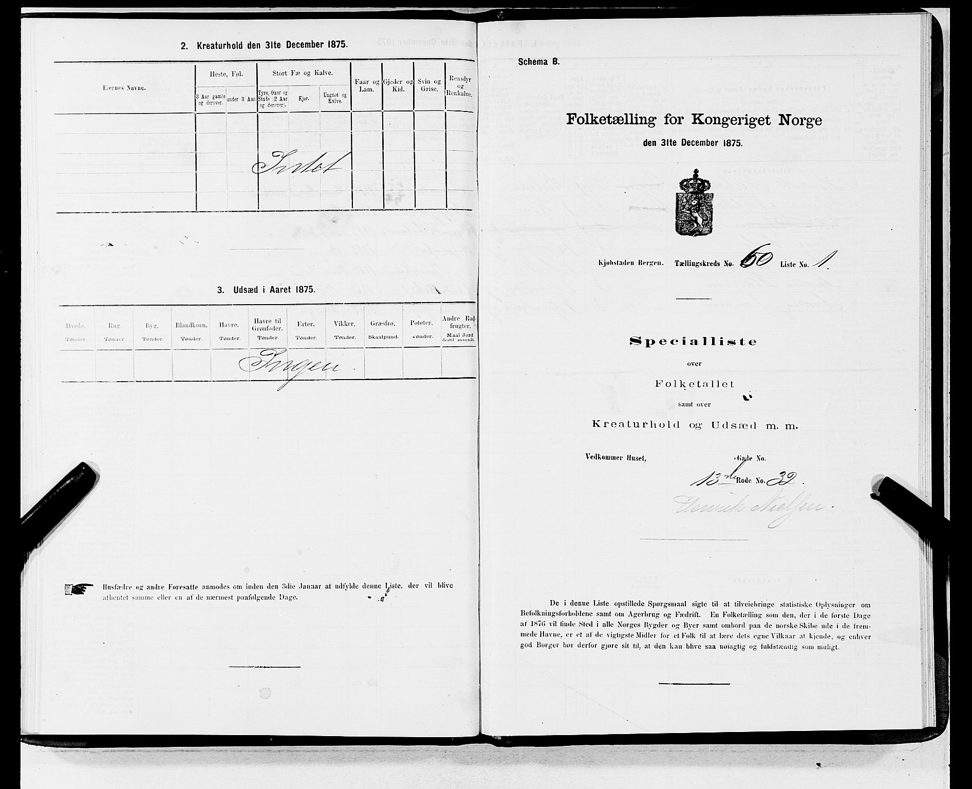 SAB, 1875 census for 1301 Bergen, 1875, p. 3174