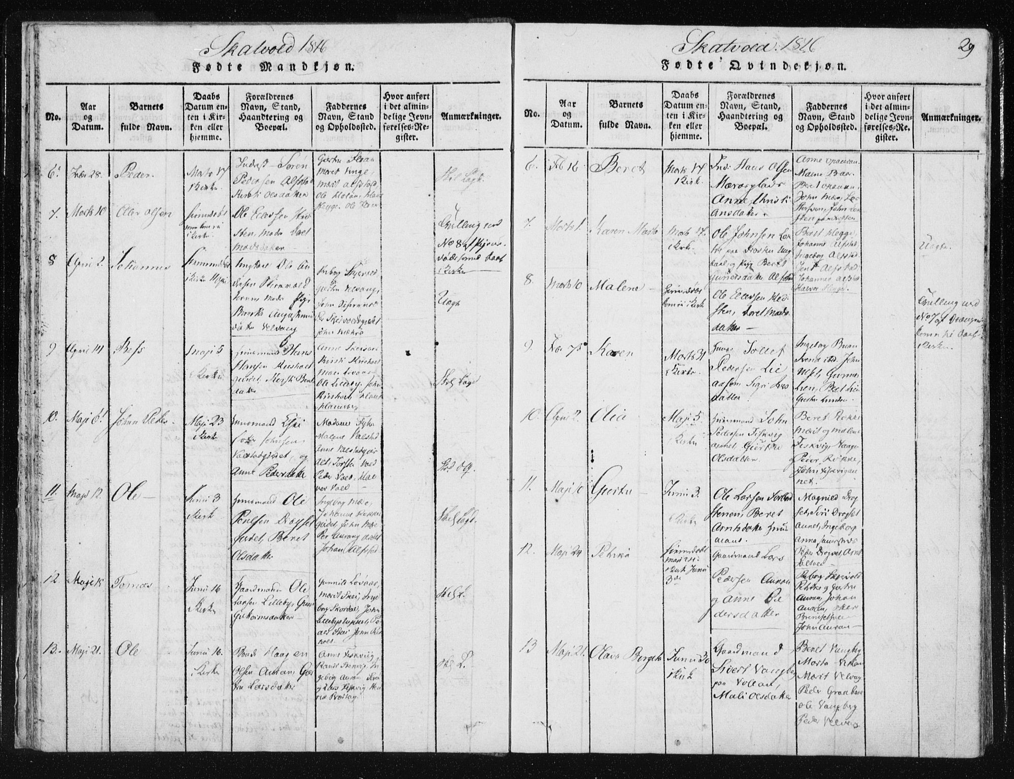 Ministerialprotokoller, klokkerbøker og fødselsregistre - Nord-Trøndelag, SAT/A-1458/709/L0061: Parish register (official) no. 709A08 /2, 1815-1819, p. 29
