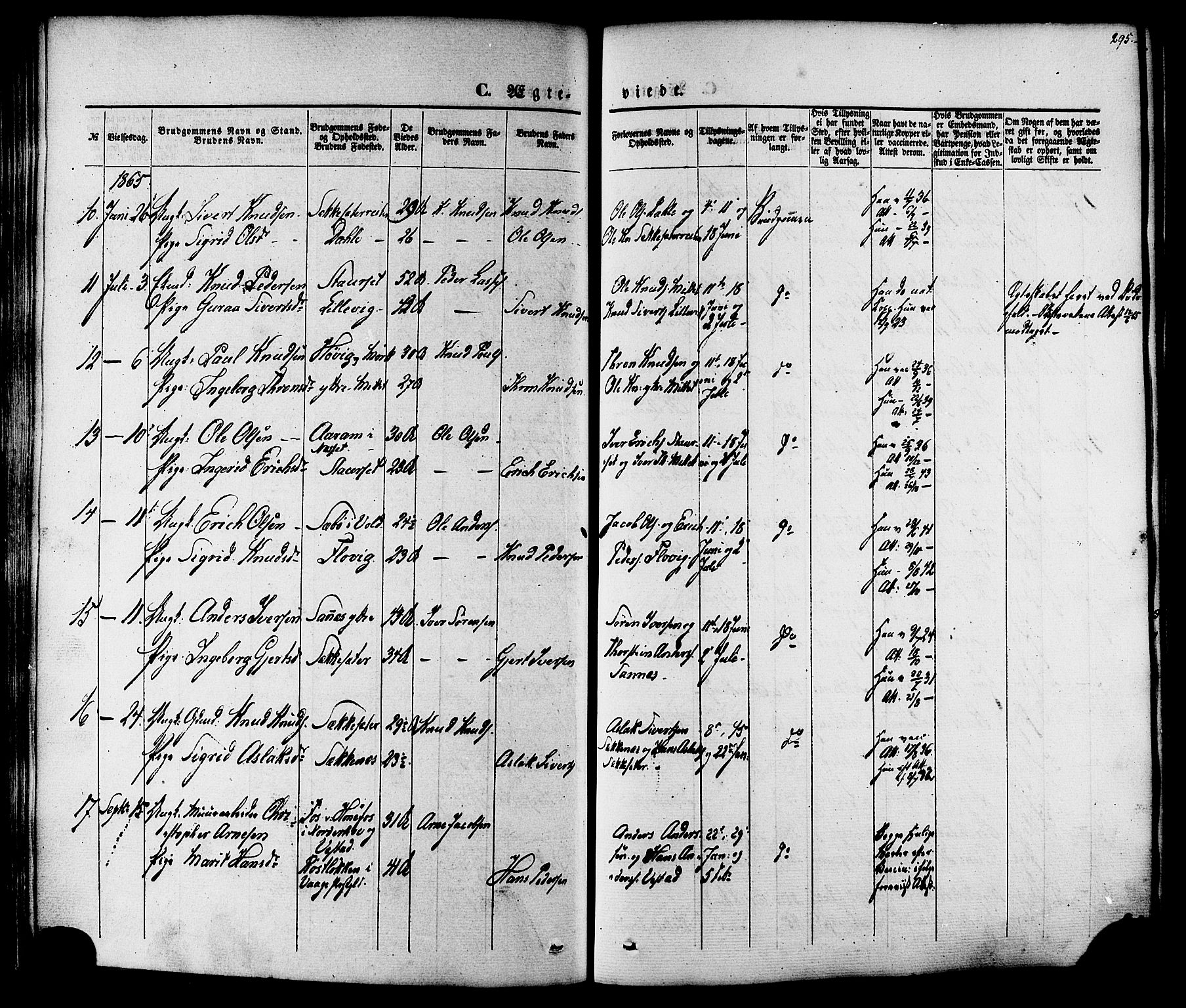 Ministerialprotokoller, klokkerbøker og fødselsregistre - Møre og Romsdal, AV/SAT-A-1454/547/L0603: Parish register (official) no. 547A05, 1846-1877, p. 295