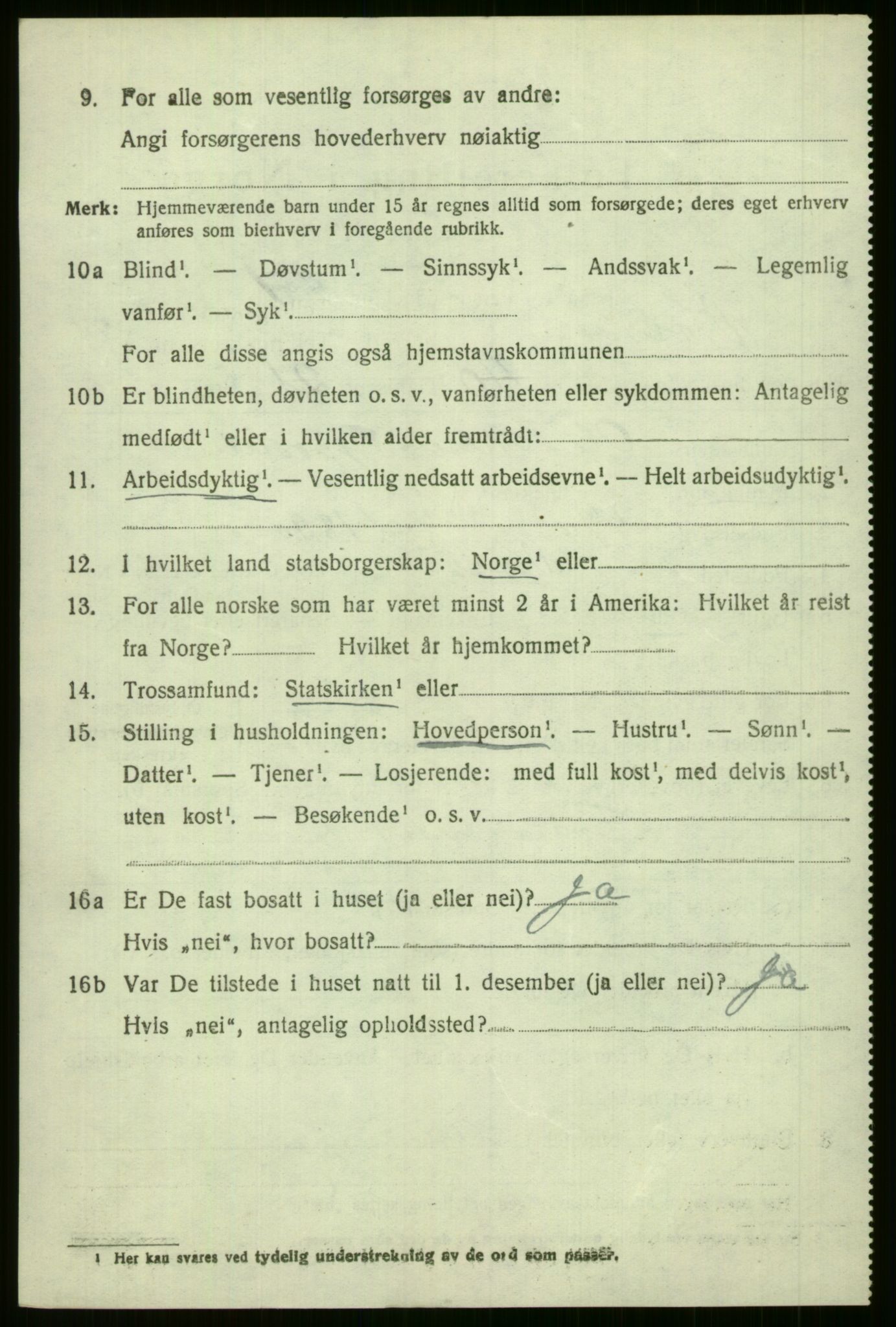 SAB, 1920 census for Voss, 1920, p. 3960