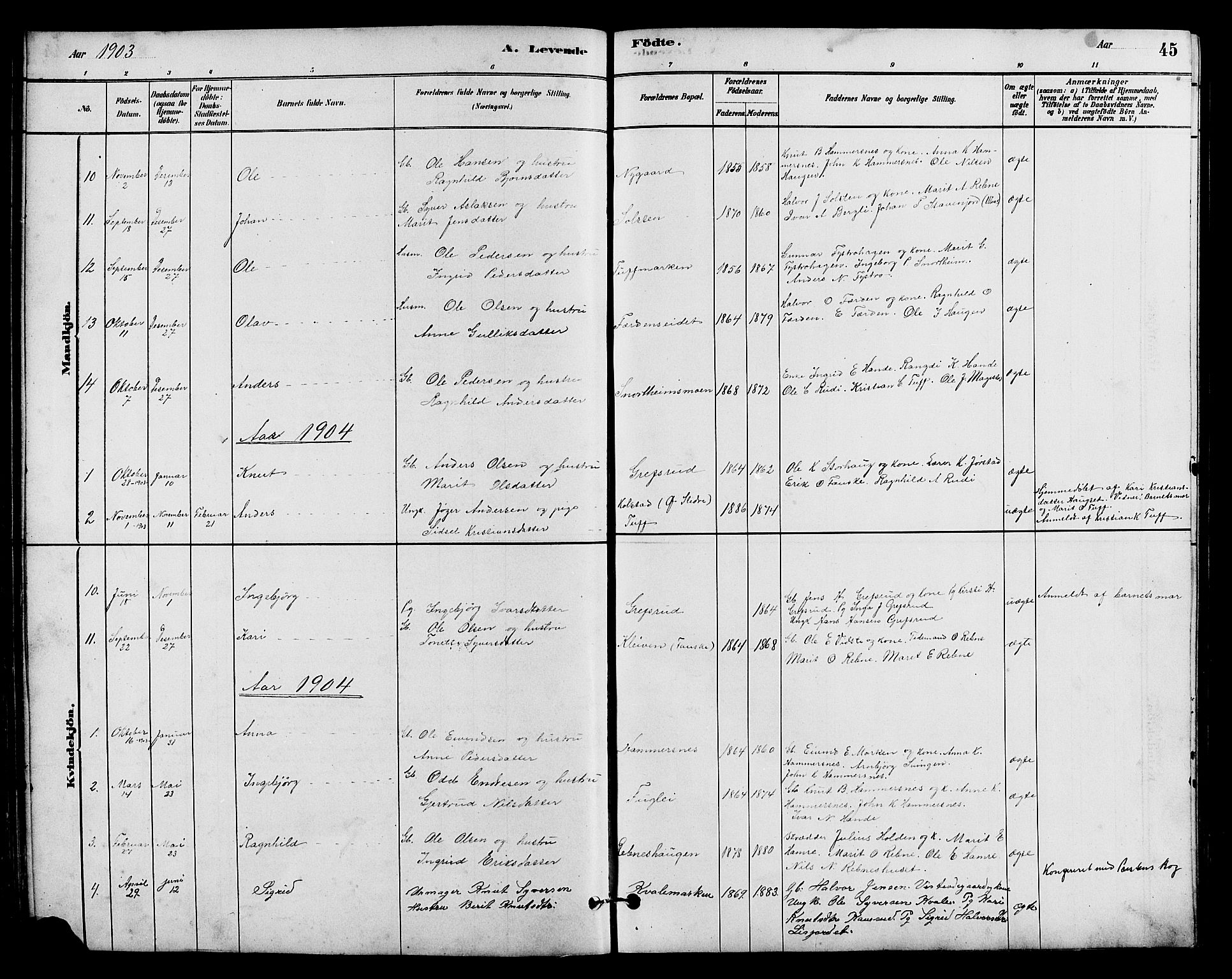 Vestre Slidre prestekontor, SAH/PREST-136/H/Ha/Hab/L0005: Parish register (copy) no. 5, 1881-1913, p. 45
