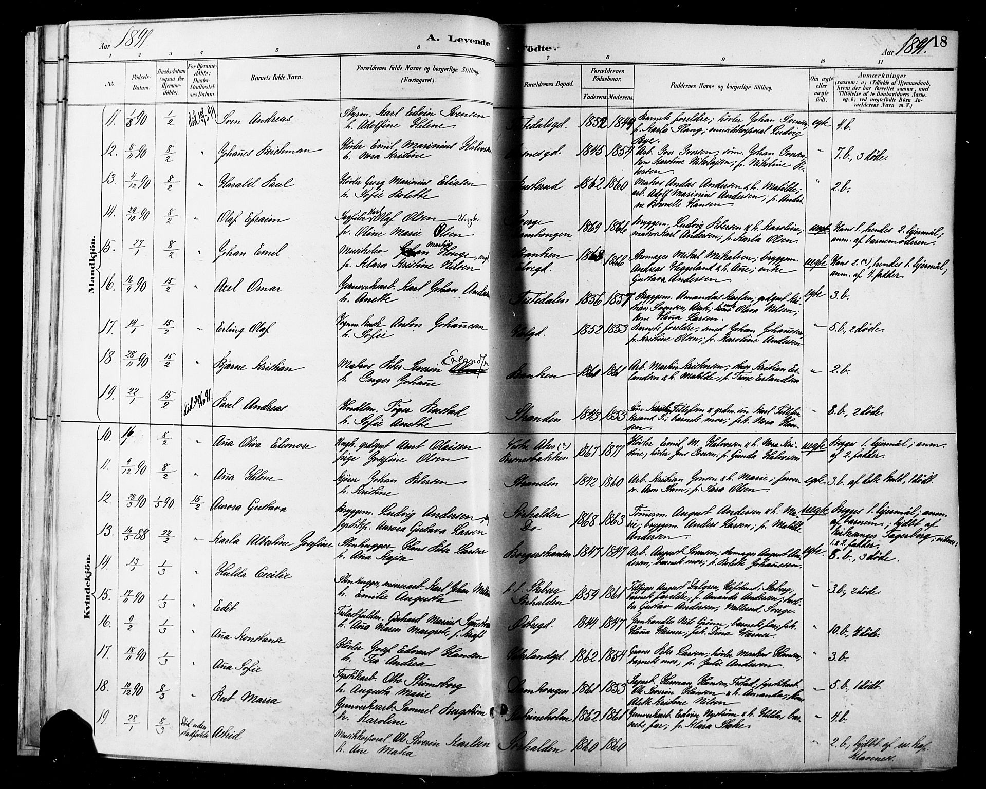 Halden prestekontor Kirkebøker, SAO/A-10909/F/Fa/L0013: Parish register (official) no. I 13, 1890-1906, p. 18