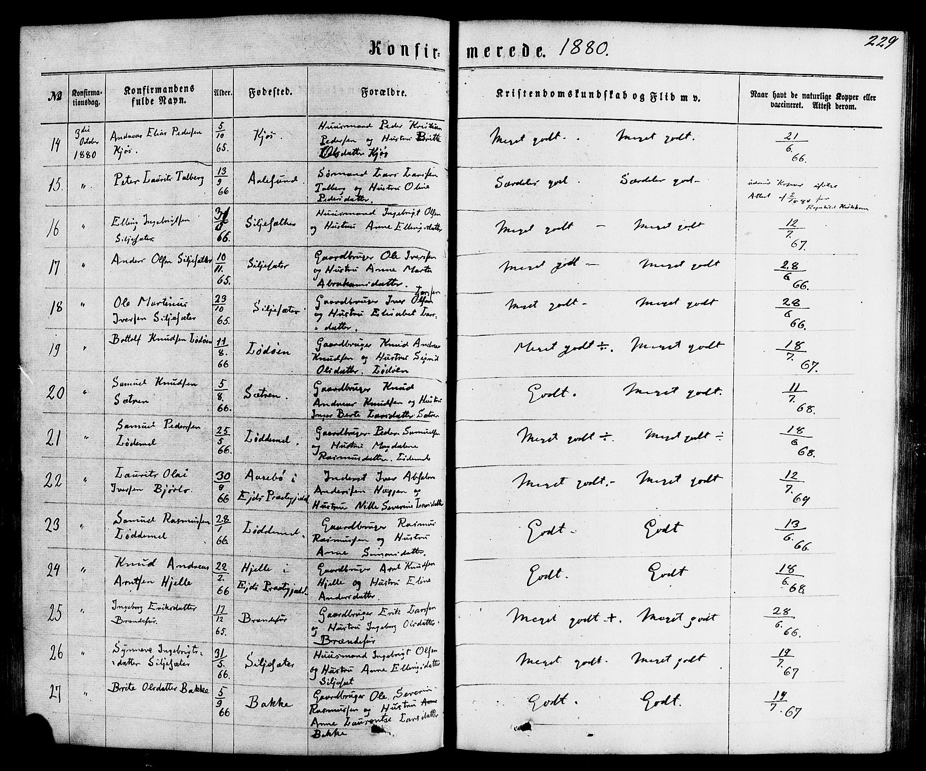 Hornindal sokneprestembete, AV/SAB-A-82401/H/Haa/Haaa/L0002: Parish register (official) no. A 2, 1867-1884, p. 229