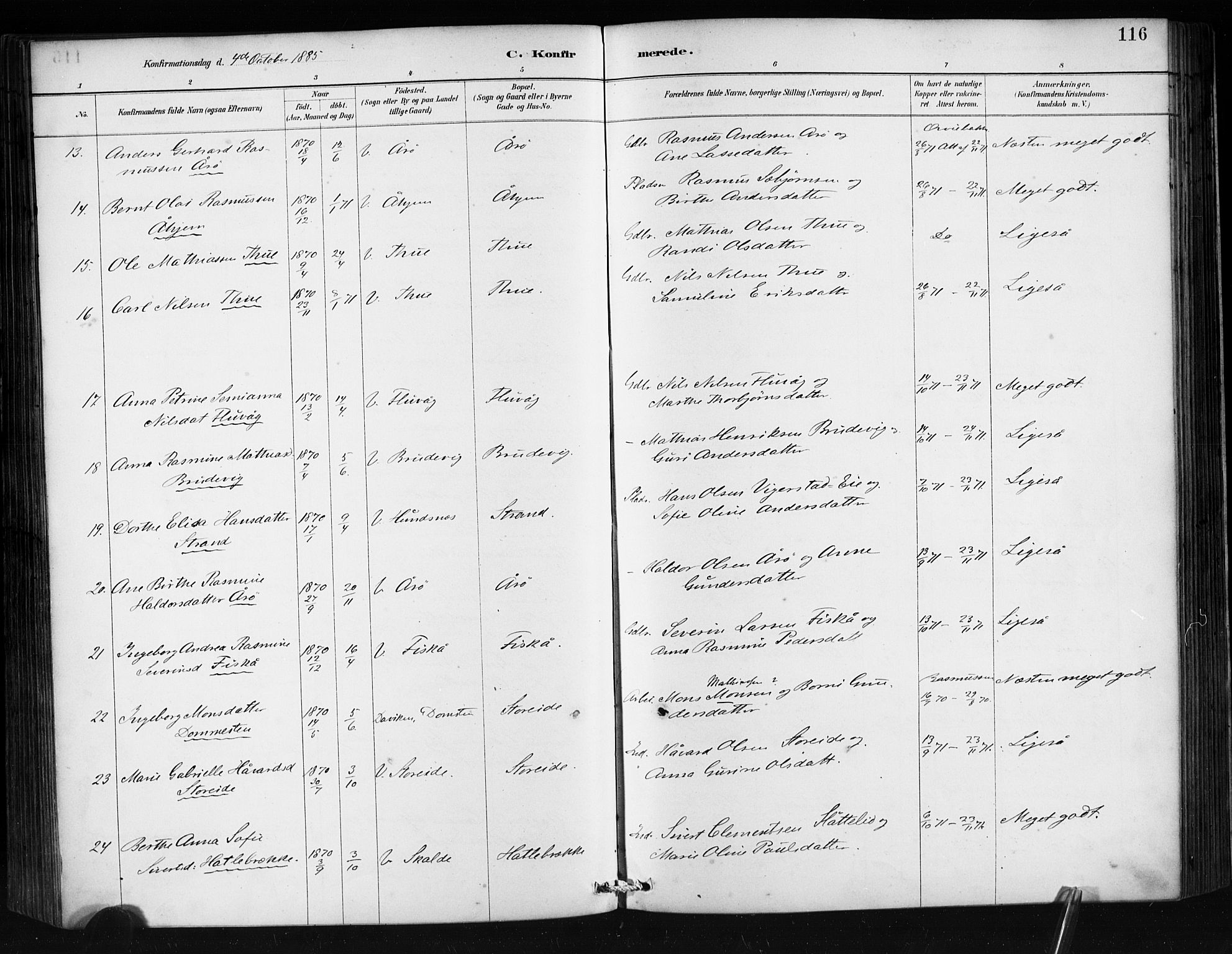 Ministerialprotokoller, klokkerbøker og fødselsregistre - Møre og Romsdal, AV/SAT-A-1454/501/L0008: Parish register (official) no. 501A08, 1885-1901, p. 116