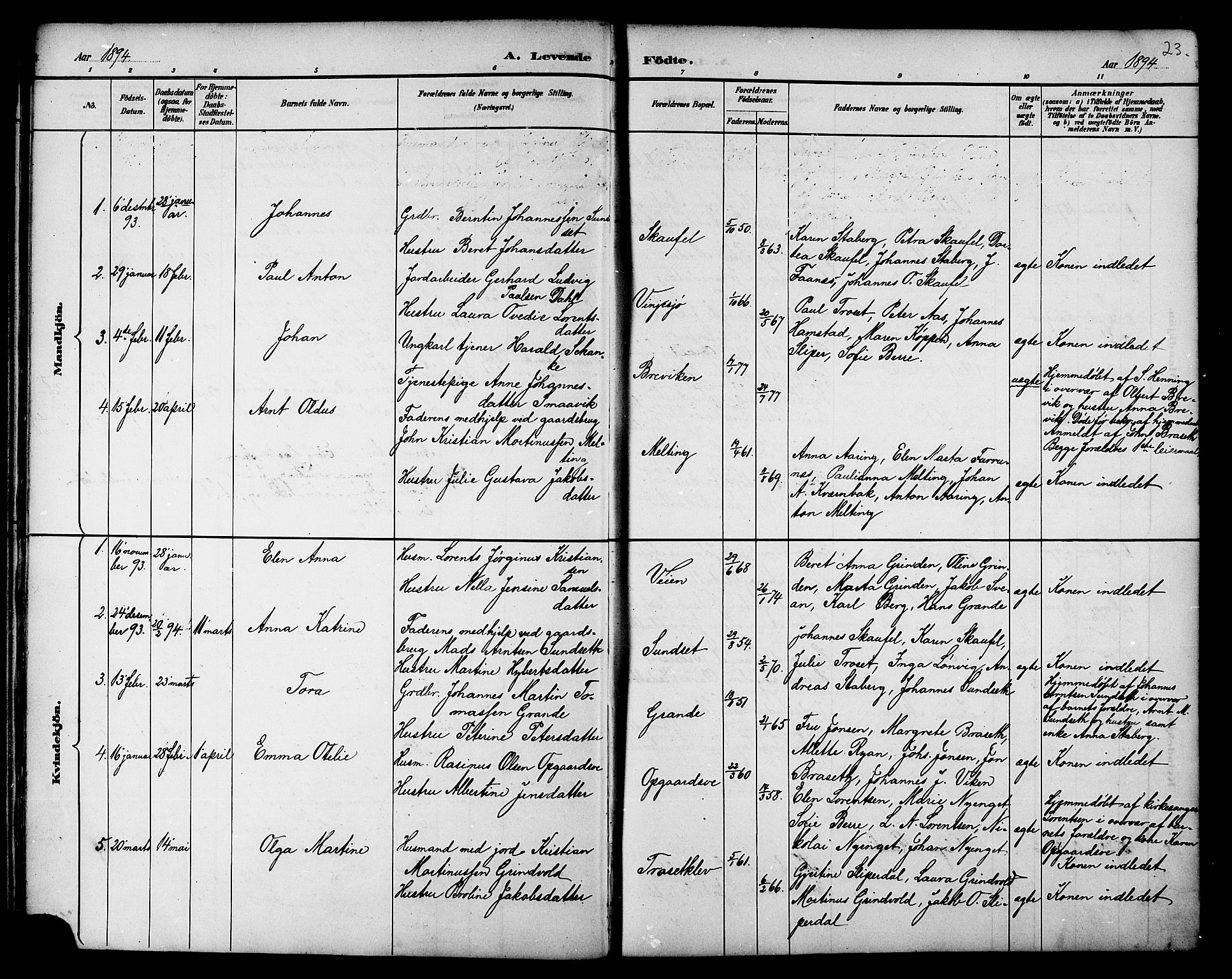 Ministerialprotokoller, klokkerbøker og fødselsregistre - Nord-Trøndelag, AV/SAT-A-1458/733/L0327: Parish register (copy) no. 733C02, 1888-1918, p. 23