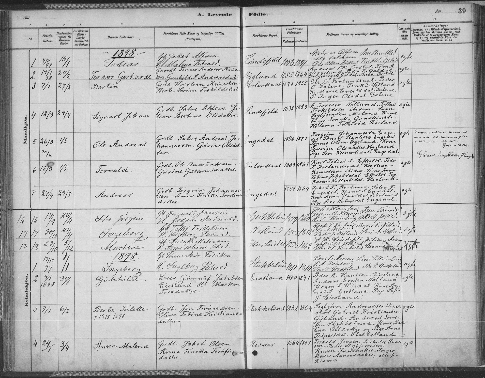 Fjotland sokneprestkontor, AV/SAK-1111-0010/F/Fa/L0002: Parish register (official) no. A 2, 1880-1898, p. 39