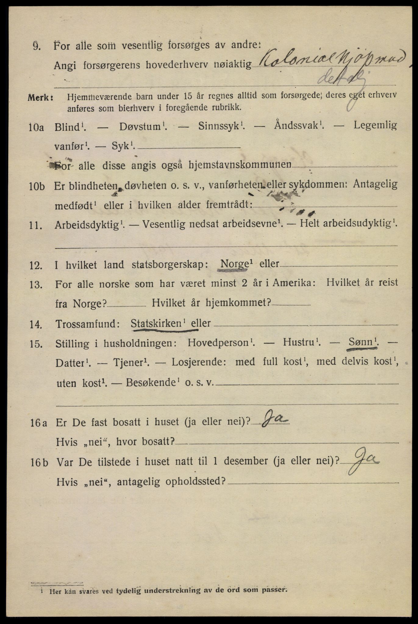 SAKO, 1920 census for Hønefoss, 1920, p. 2445