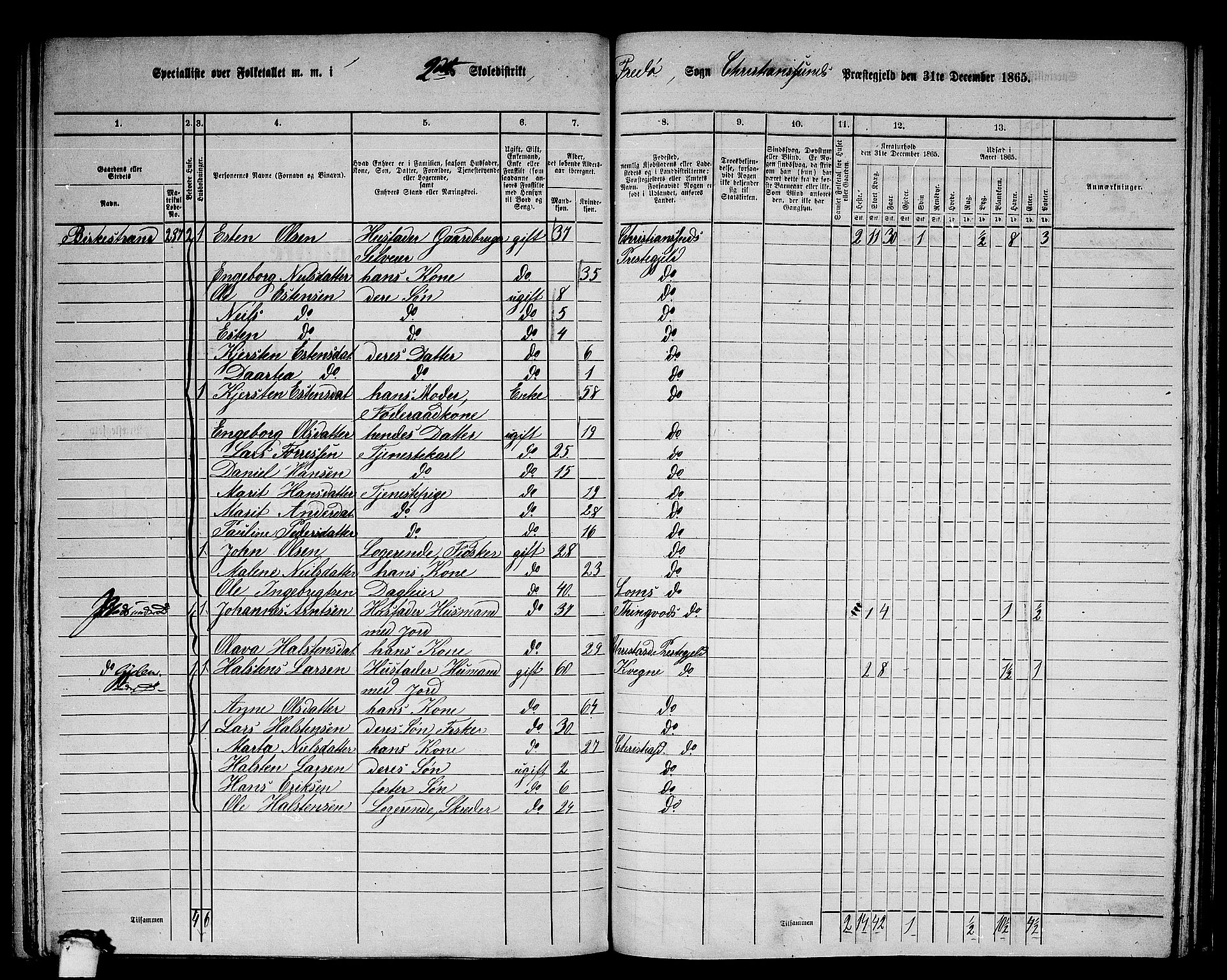 RA, 1865 census for Kristiansund/Frei og Grip, 1865, p. 27