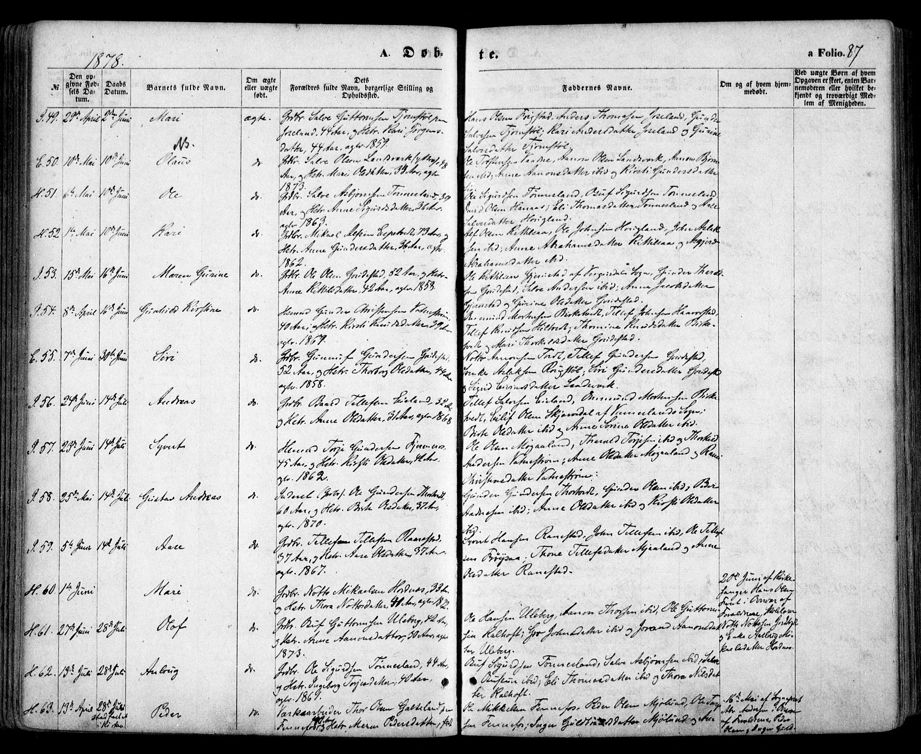 Evje sokneprestkontor, AV/SAK-1111-0008/F/Fa/Faa/L0006: Parish register (official) no. A 6, 1866-1884, p. 87