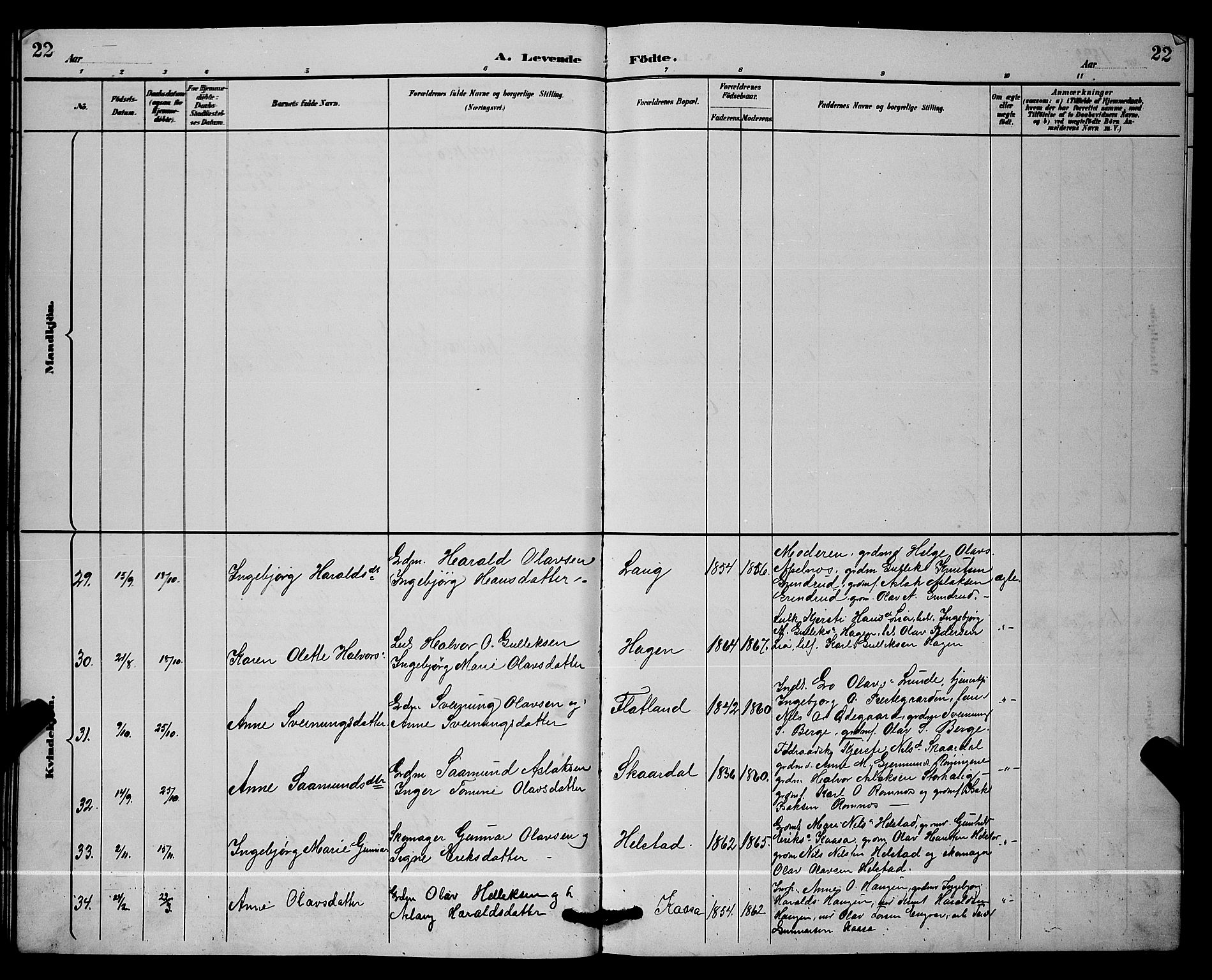 Lunde kirkebøker, SAKO/A-282/G/Ga/L0002: Parish register (copy) no. I 2, 1887-1896, p. 22