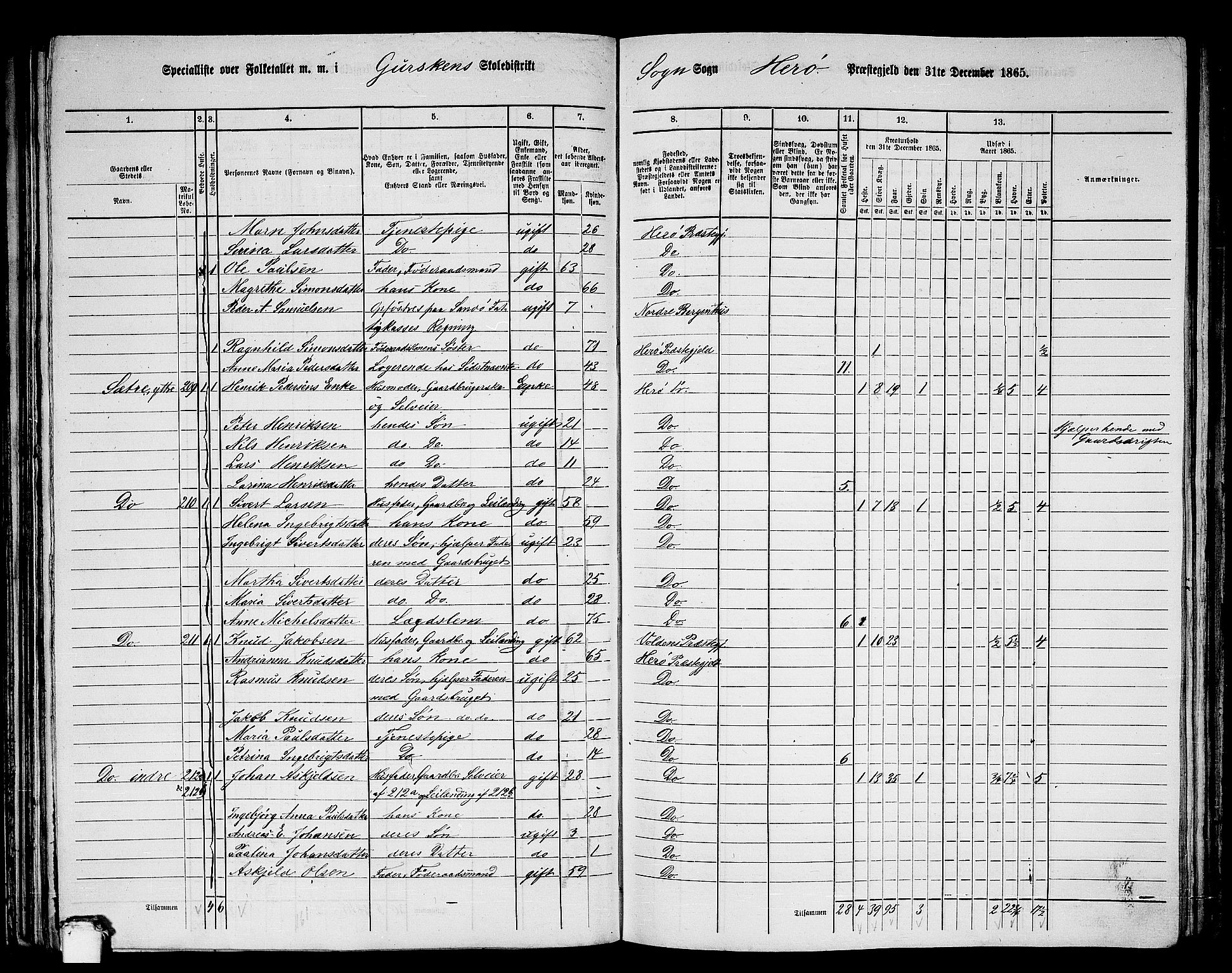 RA, 1865 census for Herøy, 1865, p. 107