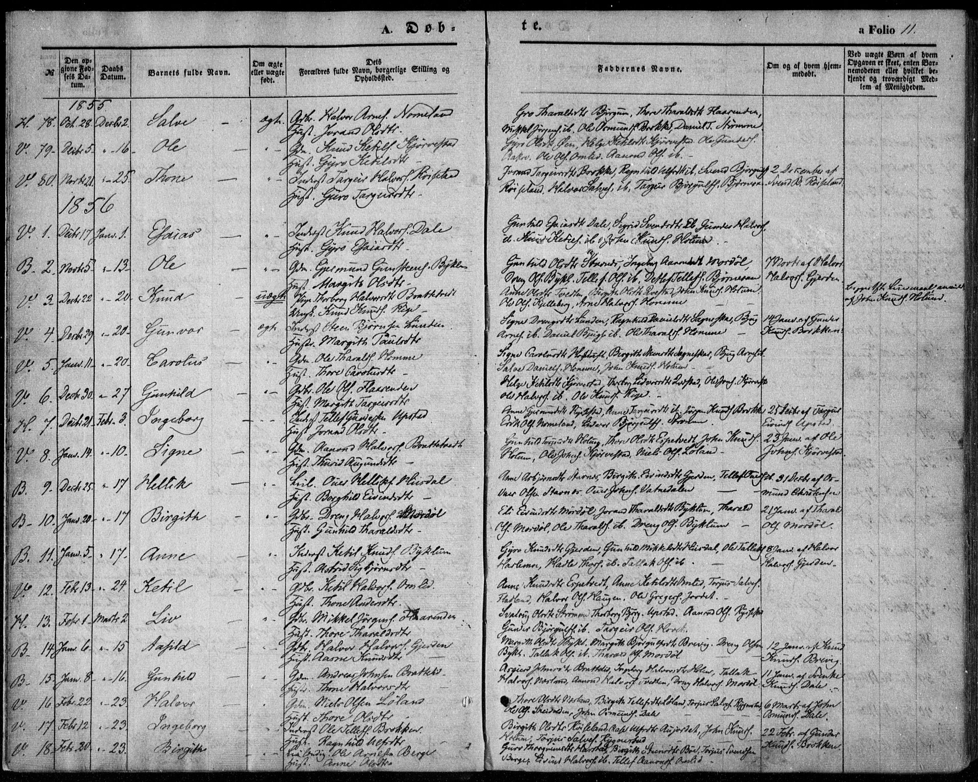 Valle sokneprestkontor, SAK/1111-0044/F/Fa/Fac/L0007: Parish register (official) no. A 7, 1854-1868, p. 11