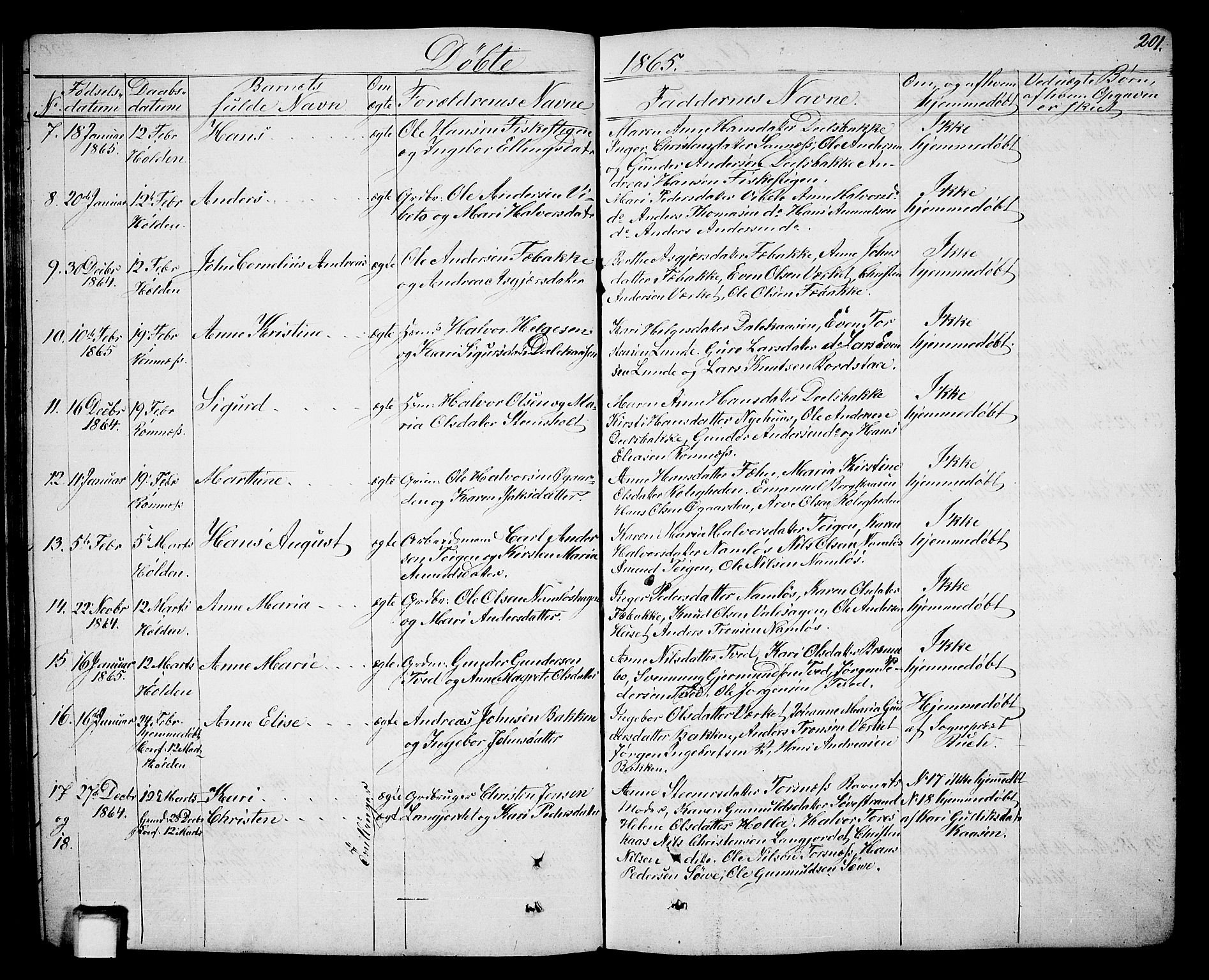 Holla kirkebøker, SAKO/A-272/G/Ga/L0003: Parish register (copy) no. I 3, 1849-1866, p. 201