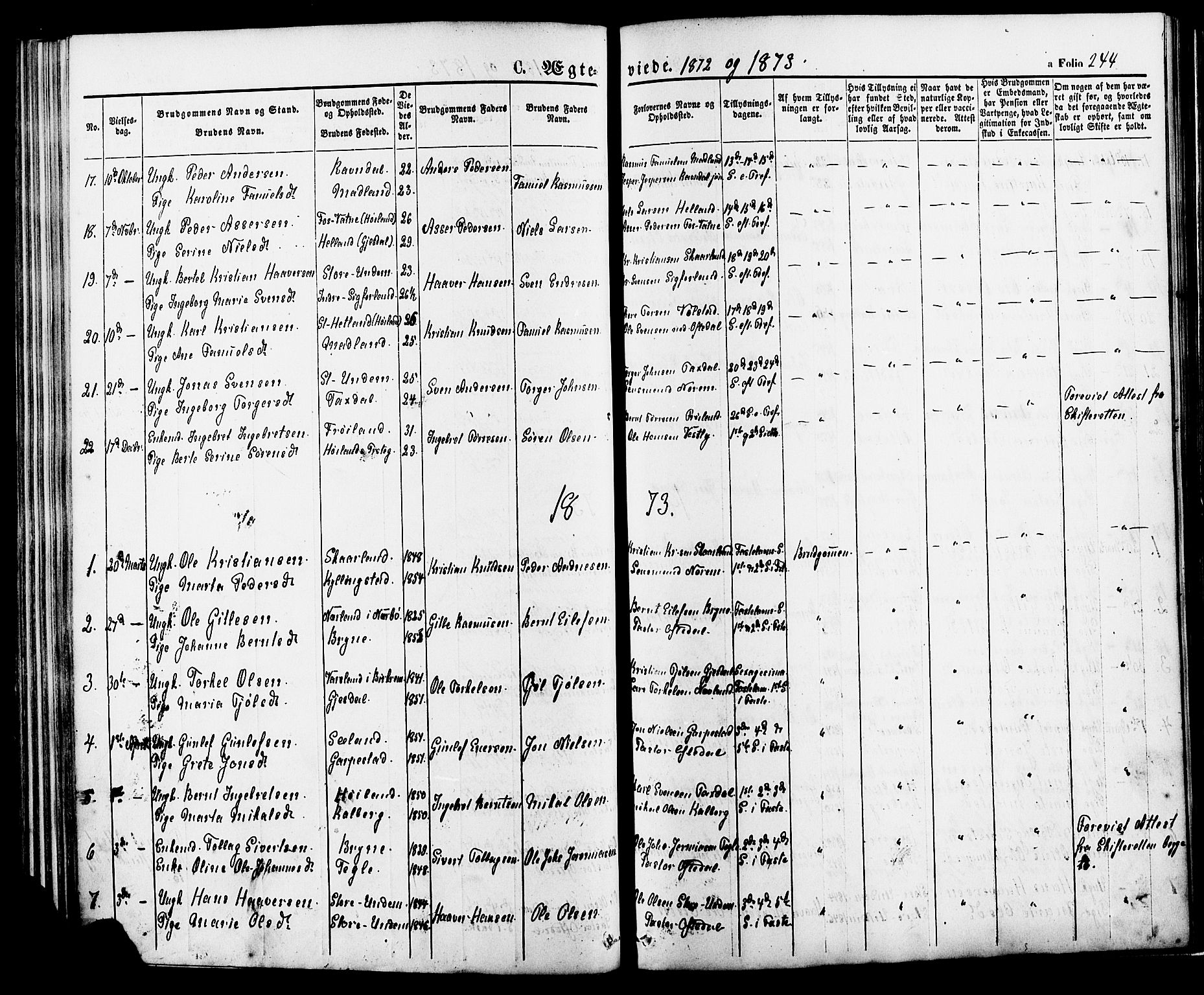 Lye sokneprestkontor, SAST/A-101794/001/30BA/L0008: Parish register (official) no. A 7, 1872-1881, p. 244