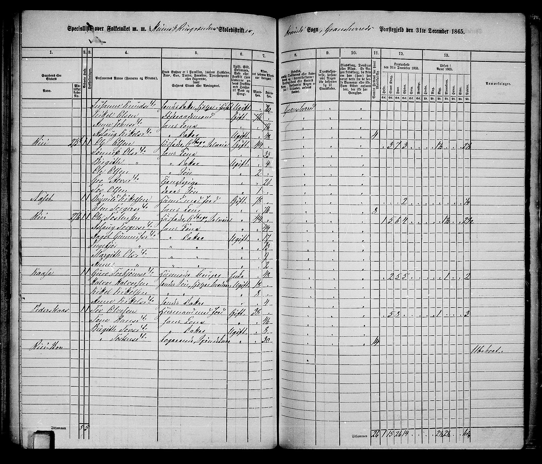 RA, 1865 census for Gransherad, 1865, p. 100