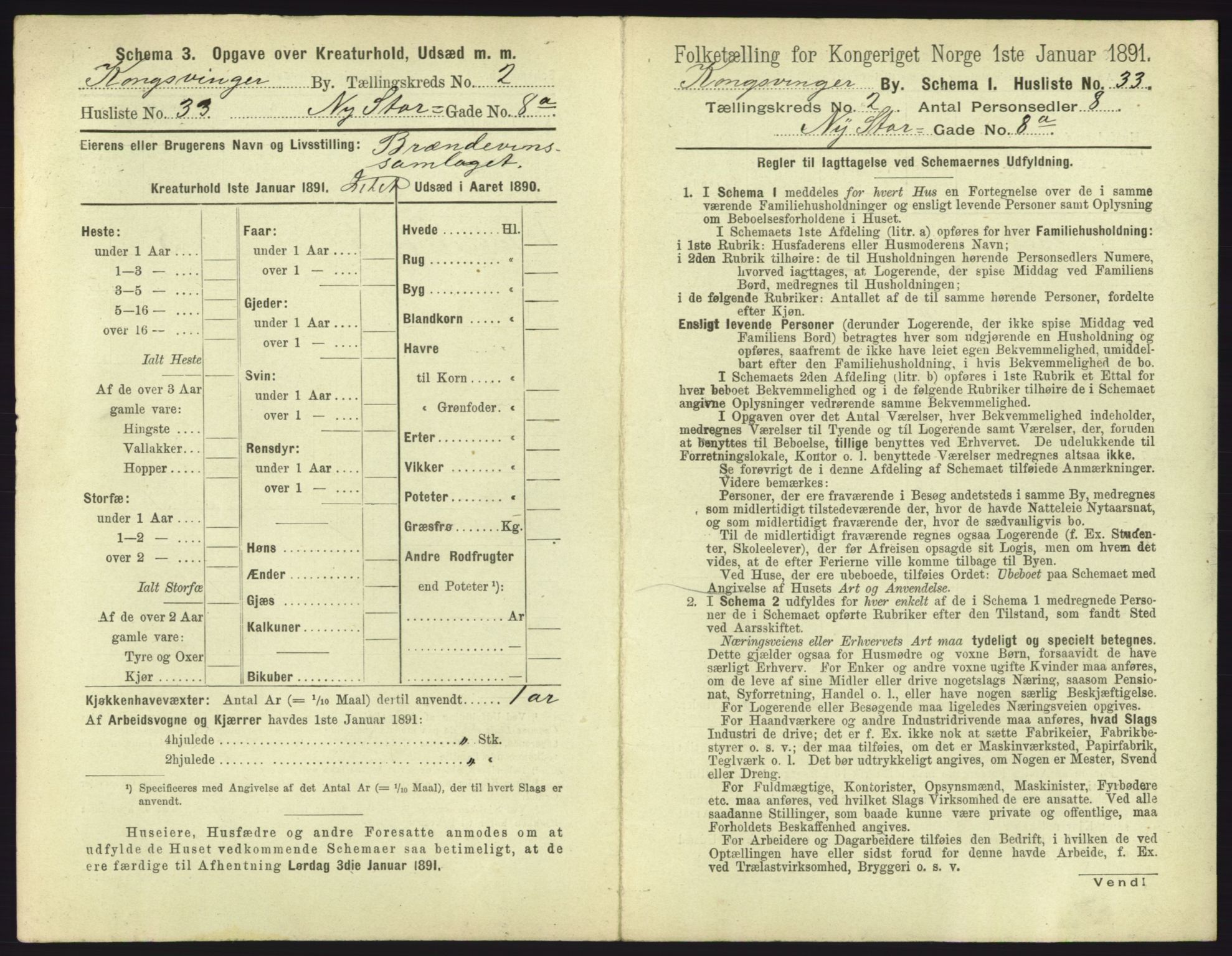 RA, 1891 census for 0402 Kongsvinger, 1891, p. 195