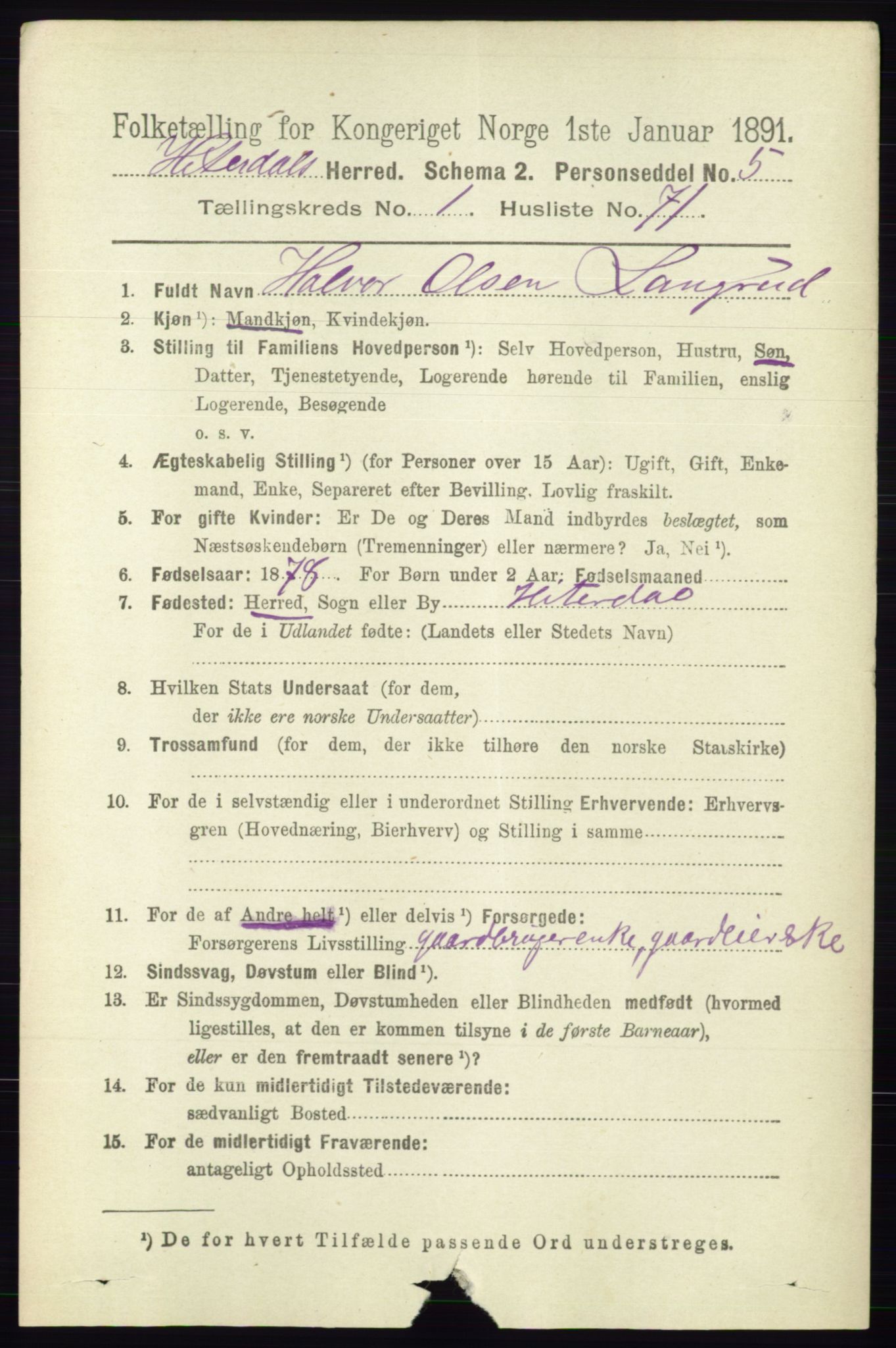 RA, 1891 census for 0823 Heddal, 1891, p. 501