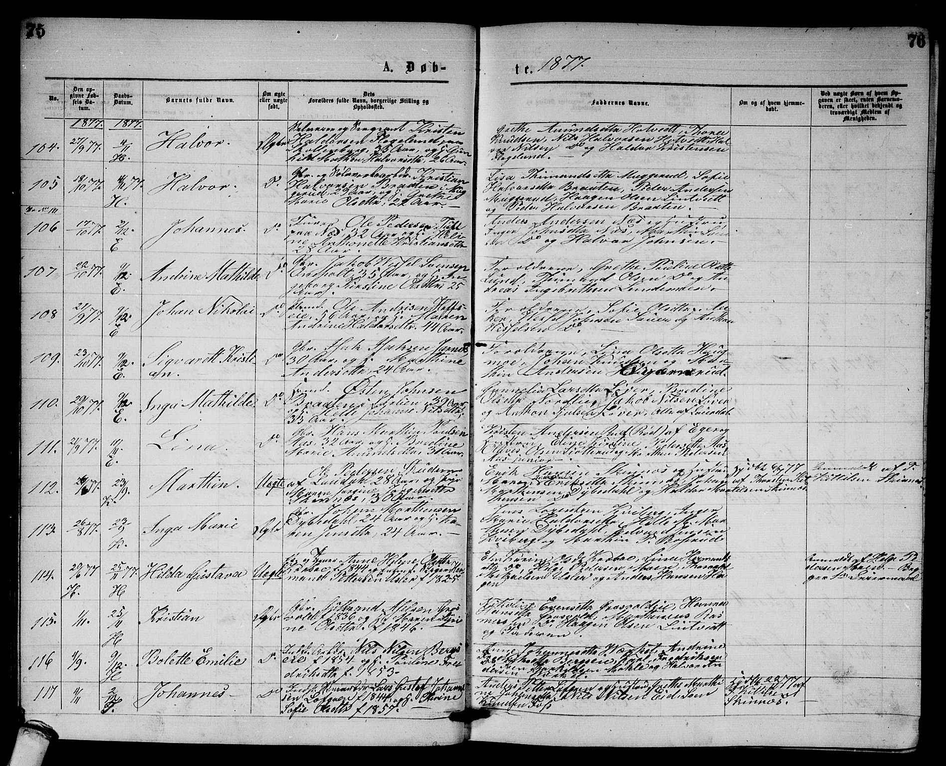 Sandsvær kirkebøker, AV/SAKO-A-244/G/Gb/L0001: Parish register (copy) no. II 1, 1874-1885, p. 75-76