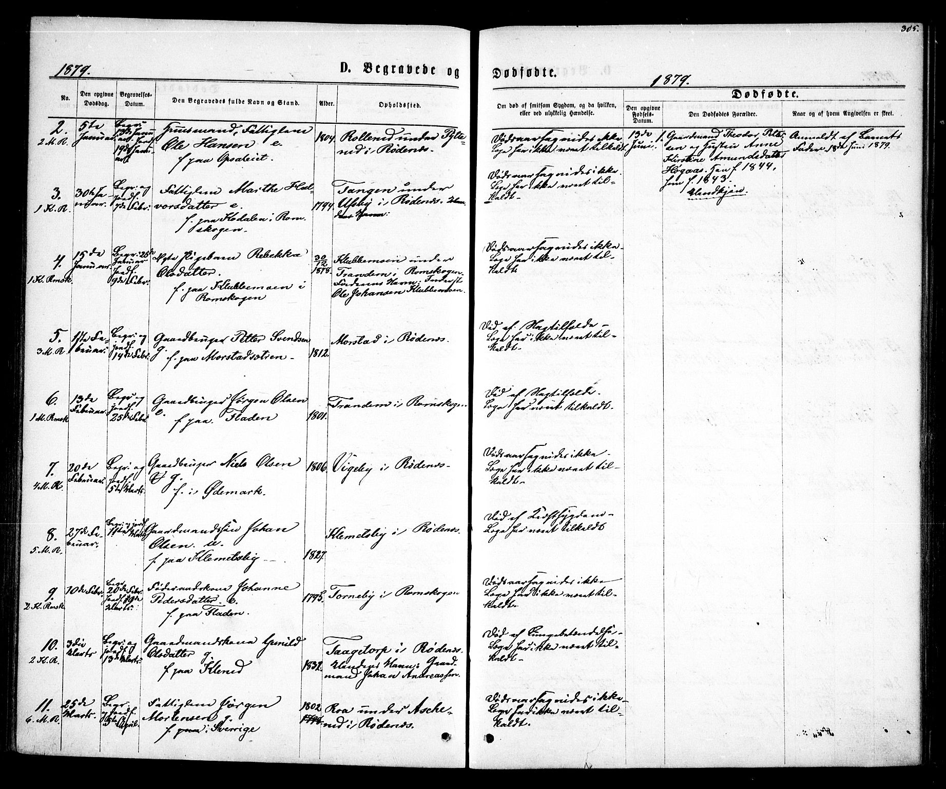 Rødenes prestekontor Kirkebøker, AV/SAO-A-2005/F/Fa/L0008: Parish register (official) no. I 8, 1869-1879, p. 305