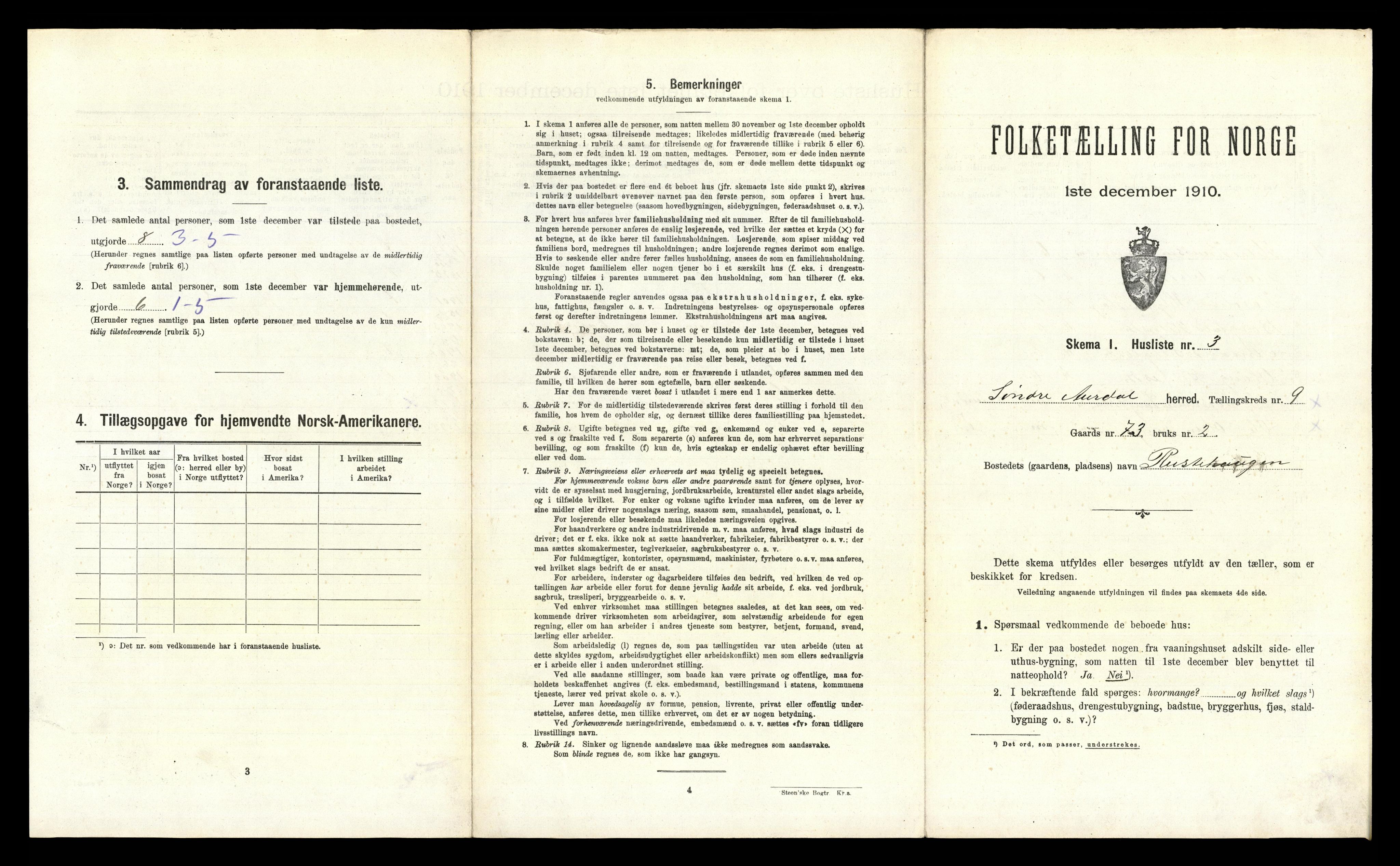 RA, 1910 census for Sør-Aurdal, 1910, p. 895