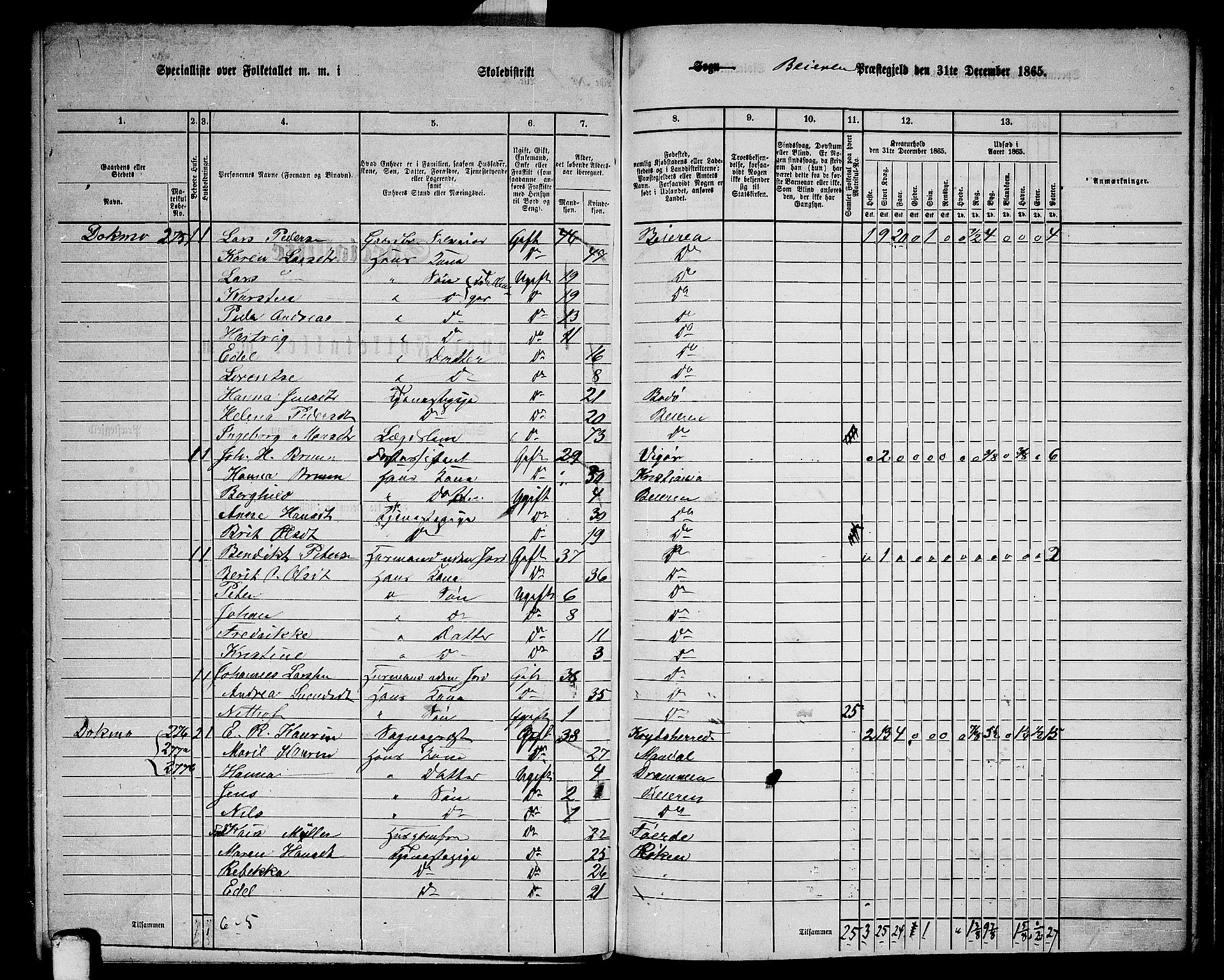 RA, 1865 census for Beiarn, 1865, p. 6
