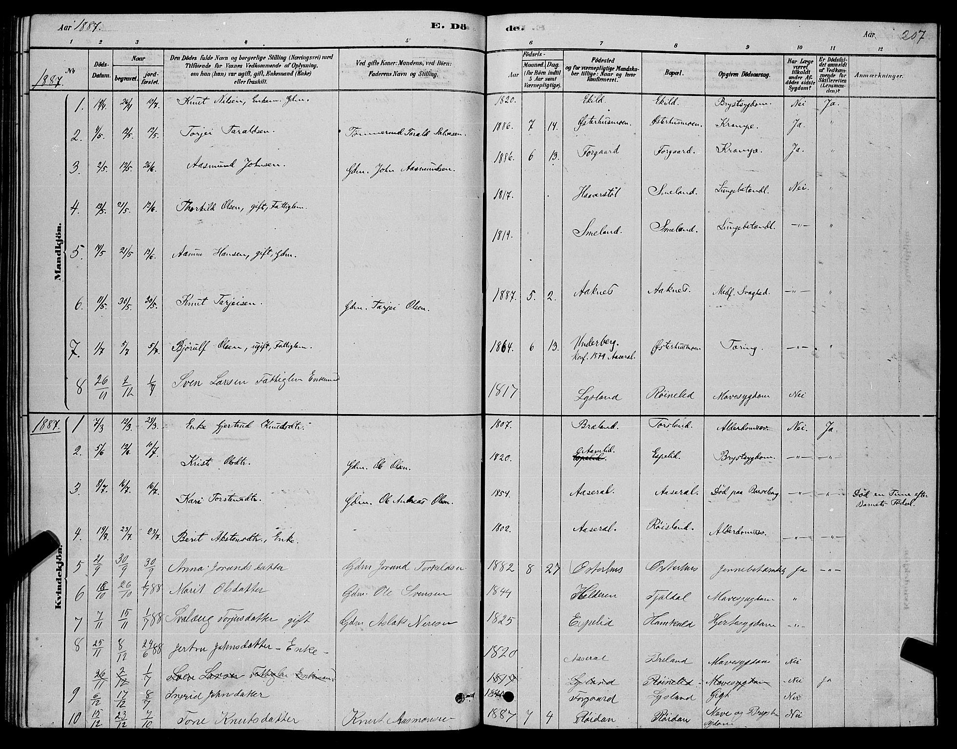 Åseral sokneprestkontor, SAK/1111-0051/F/Fb/L0002: Parish register (copy) no. B 2, 1878-1899, p. 207