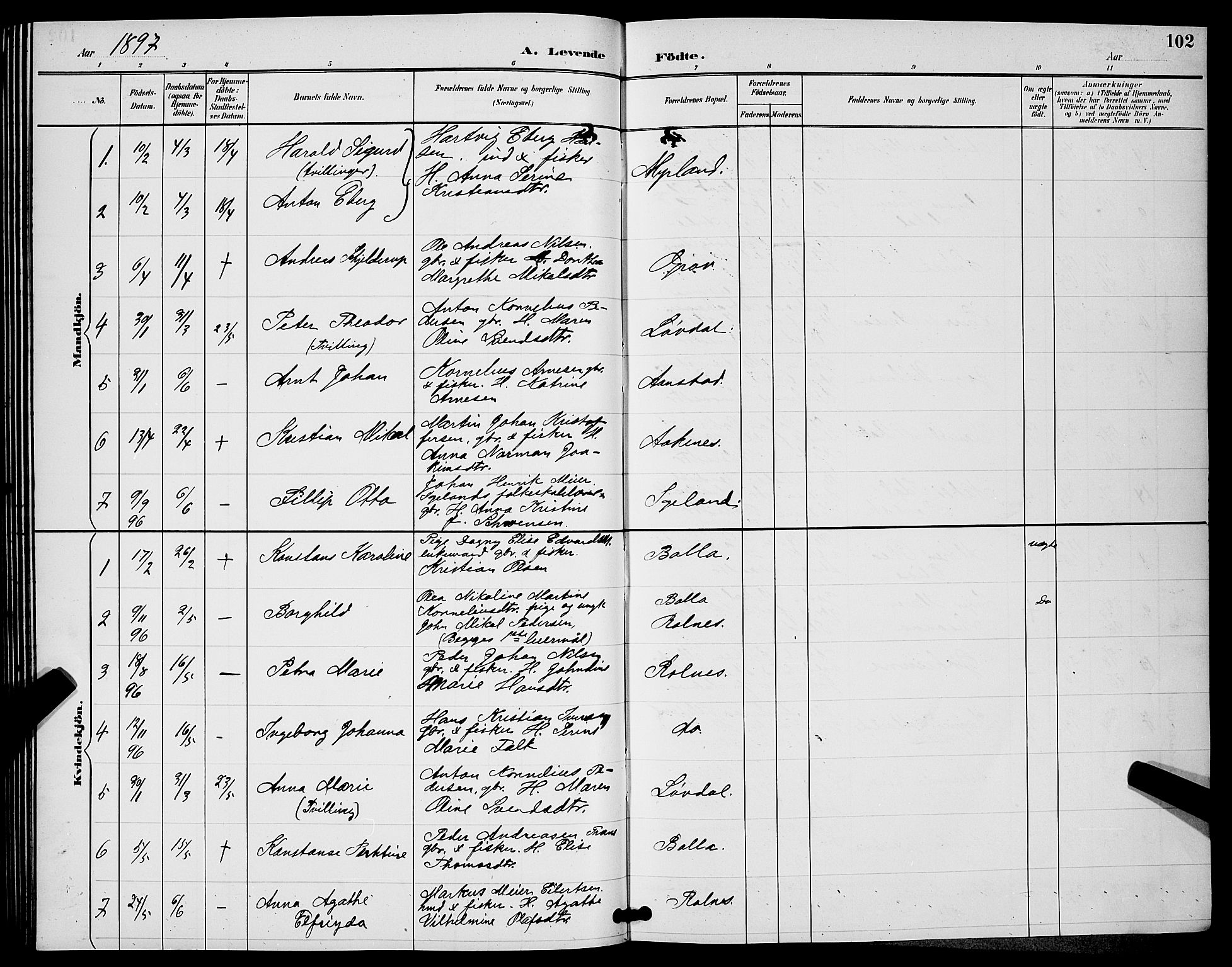 Ibestad sokneprestembete, SATØ/S-0077/H/Ha/Hab/L0008klokker: Parish register (copy) no. 8, 1890-1903, p. 102