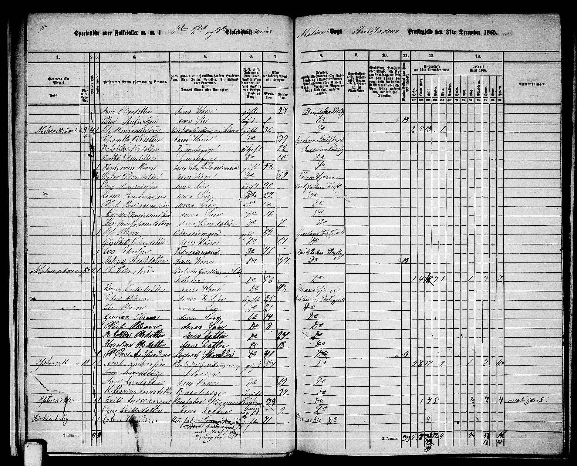 RA, 1865 census for Beitstad, 1865, p. 20