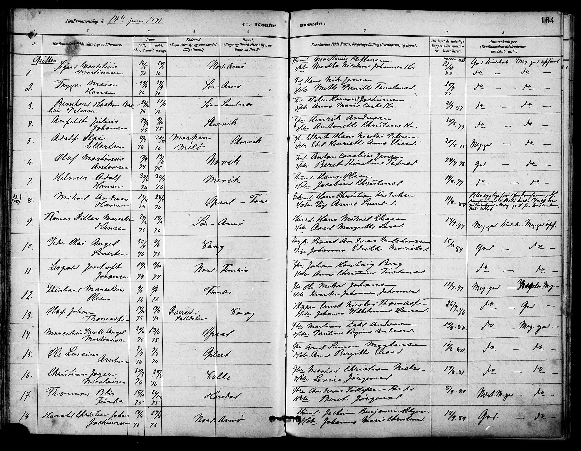 Ministerialprotokoller, klokkerbøker og fødselsregistre - Nordland, AV/SAT-A-1459/805/L0099: Parish register (official) no. 805A06, 1880-1891, p. 164