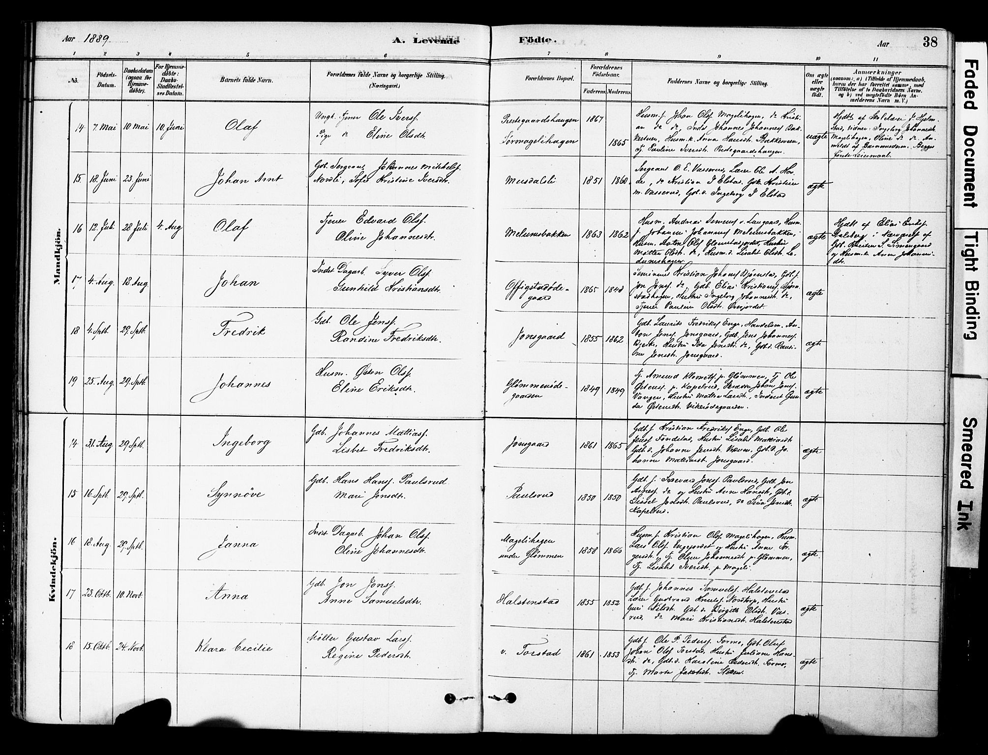 Øyer prestekontor, AV/SAH-PREST-084/H/Ha/Haa/L0009: Parish register (official) no. 9, 1878-1893, p. 38