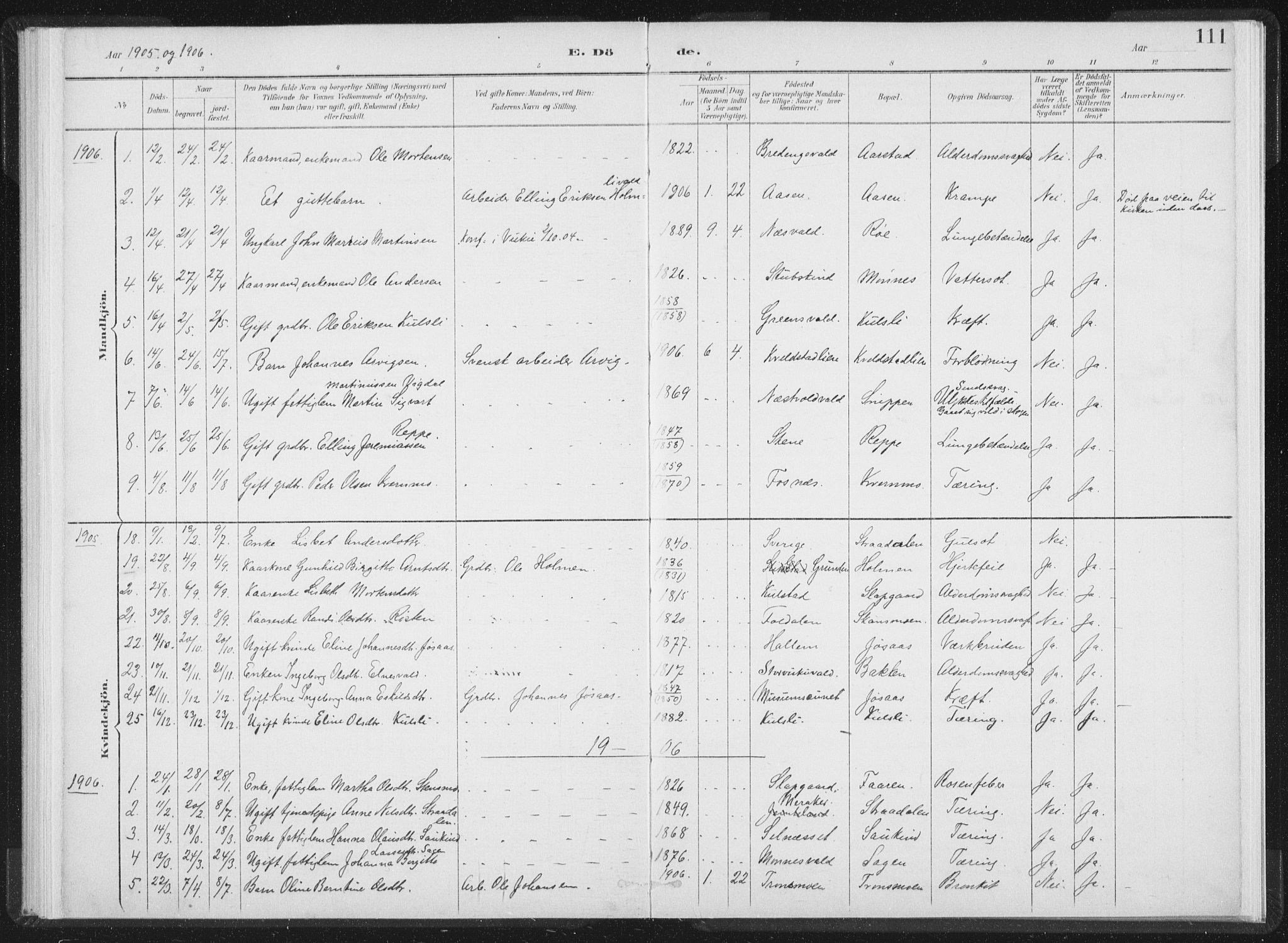 Ministerialprotokoller, klokkerbøker og fødselsregistre - Nord-Trøndelag, SAT/A-1458/724/L0263: Parish register (official) no. 724A01, 1891-1907, p. 111