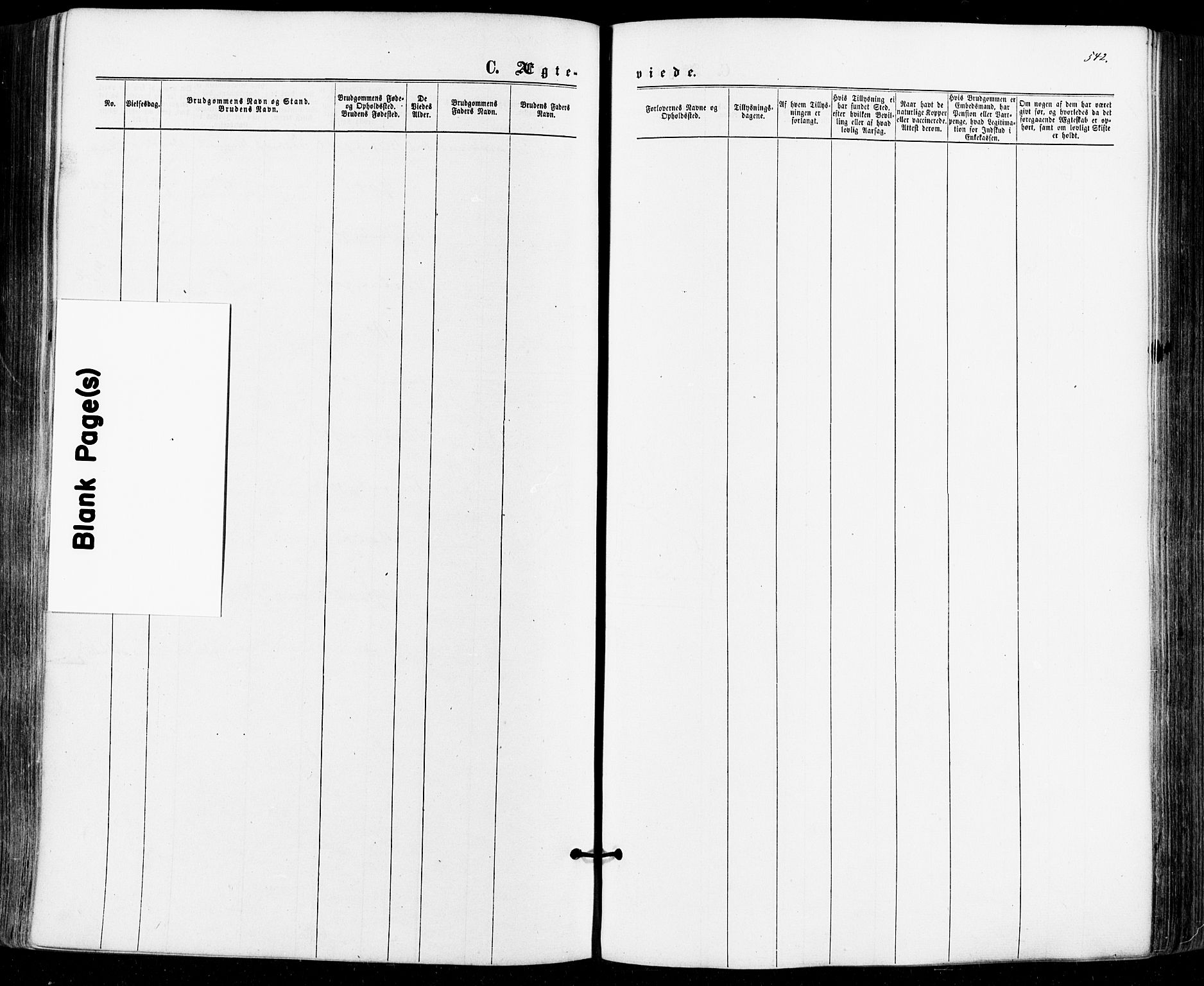 Aremark prestekontor Kirkebøker, AV/SAO-A-10899/F/Fc/L0004: Parish register (official) no. III 4, 1866-1877, p. 541-542